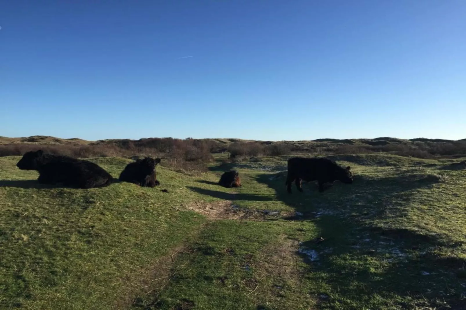 Kustpark Texel 3-Gebiete Sommer 20 km