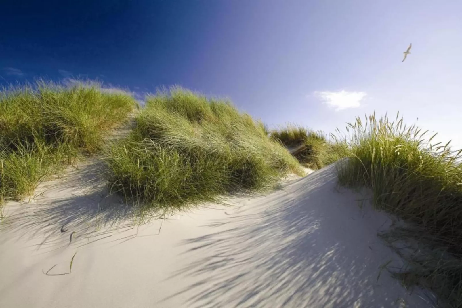 Residentie Californië 3-Areas within 20km in summer