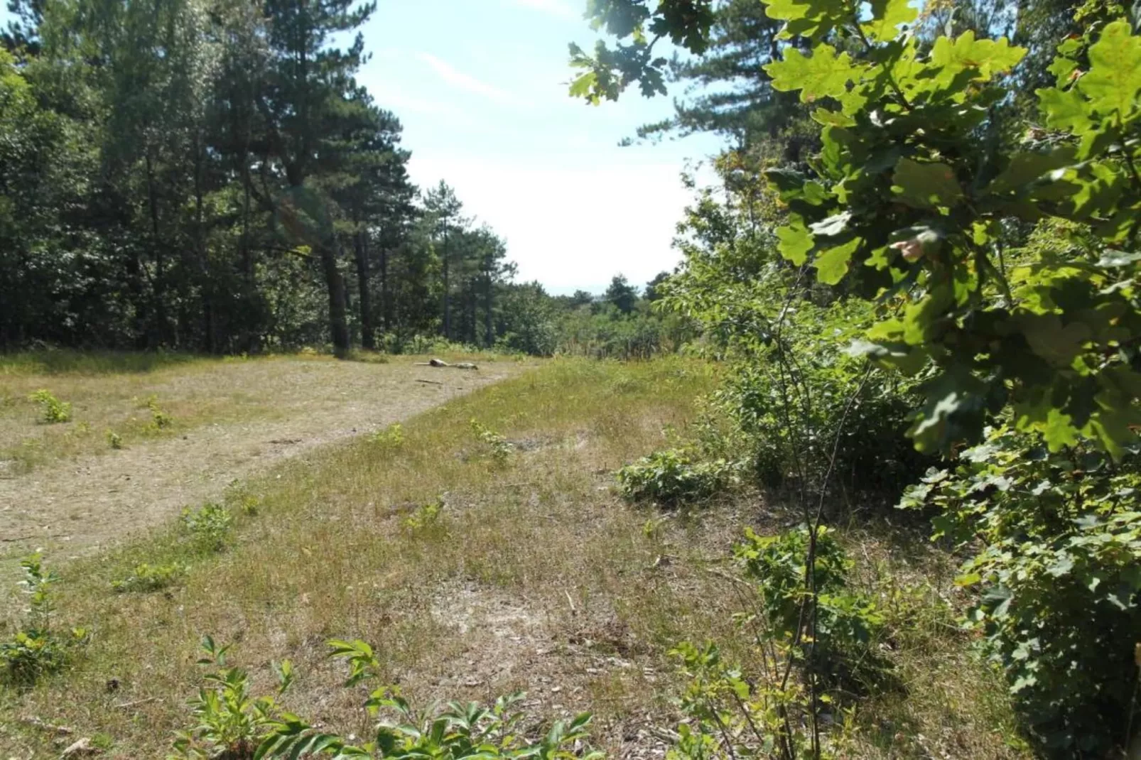 Huize Glory Saffier-Areas within 20km in summer
