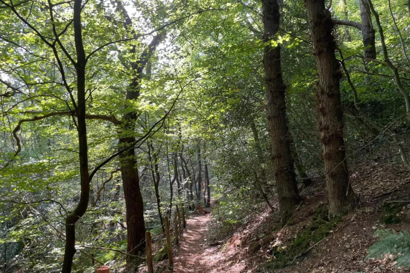 De Beukelaar 2pers-Areas within 20km in summer