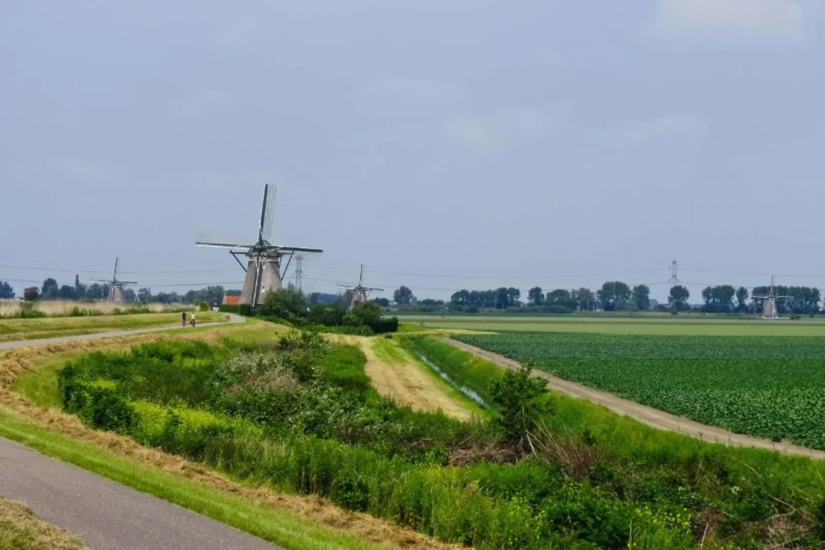 Harrekidee-Areas within 20km in summer