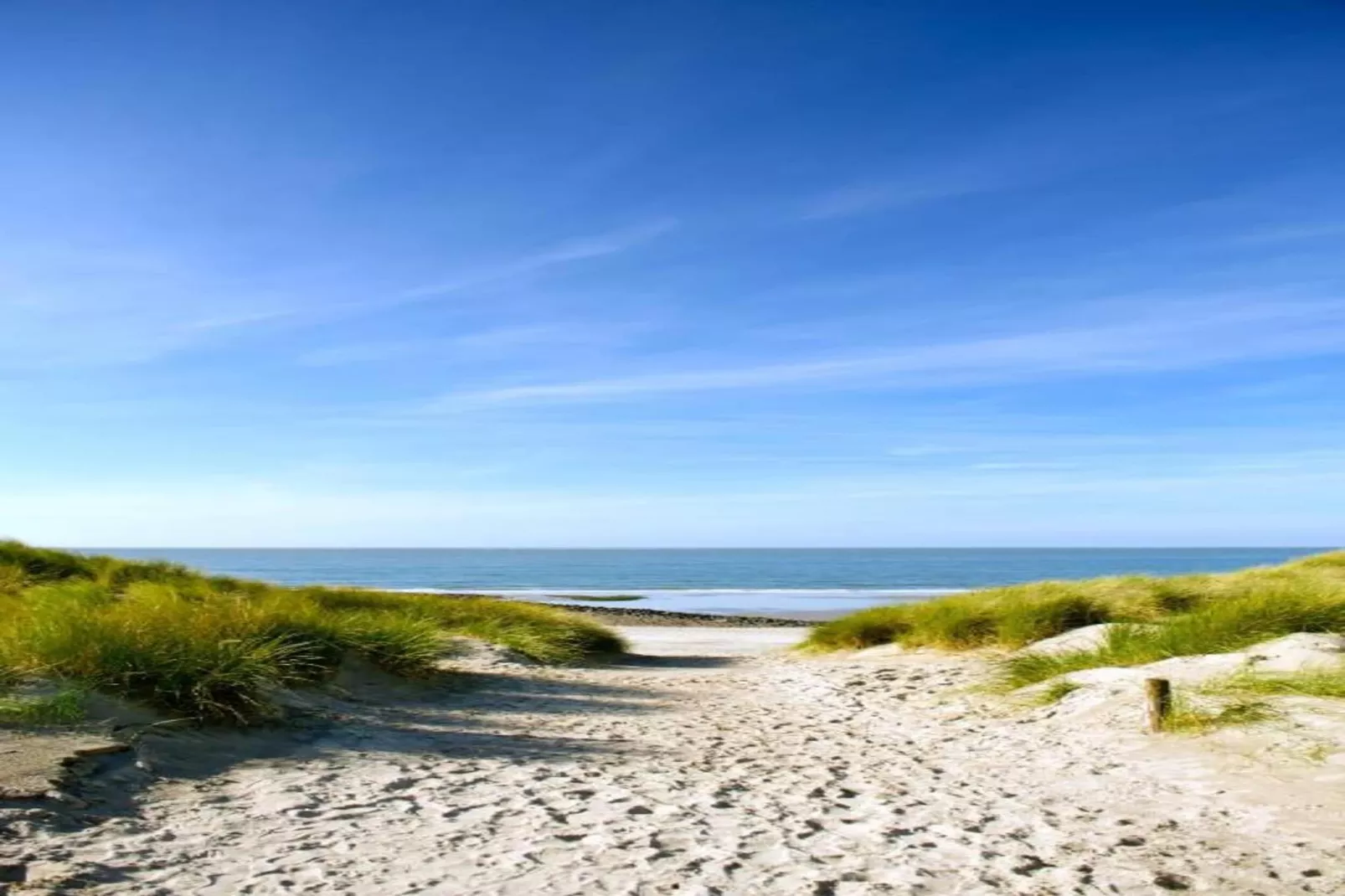 Cape Helius 21-Areas within 20km in summer
