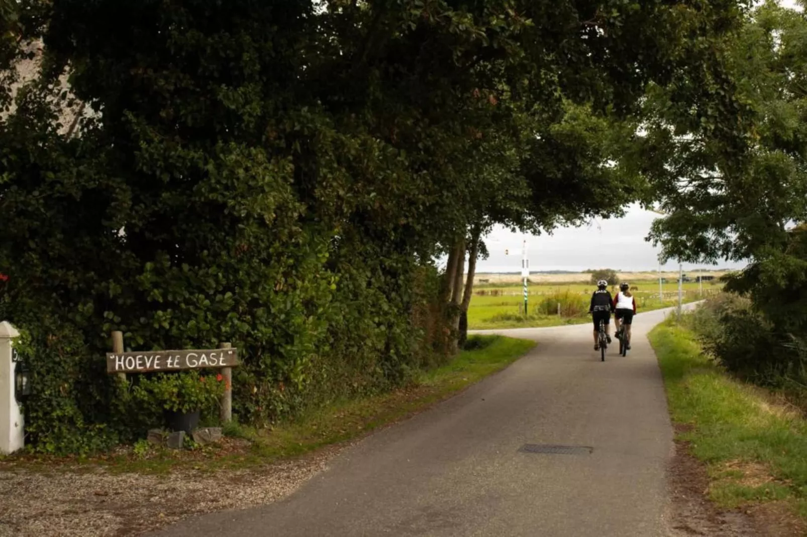 De Strandvogel-Areas within 20km in summer
