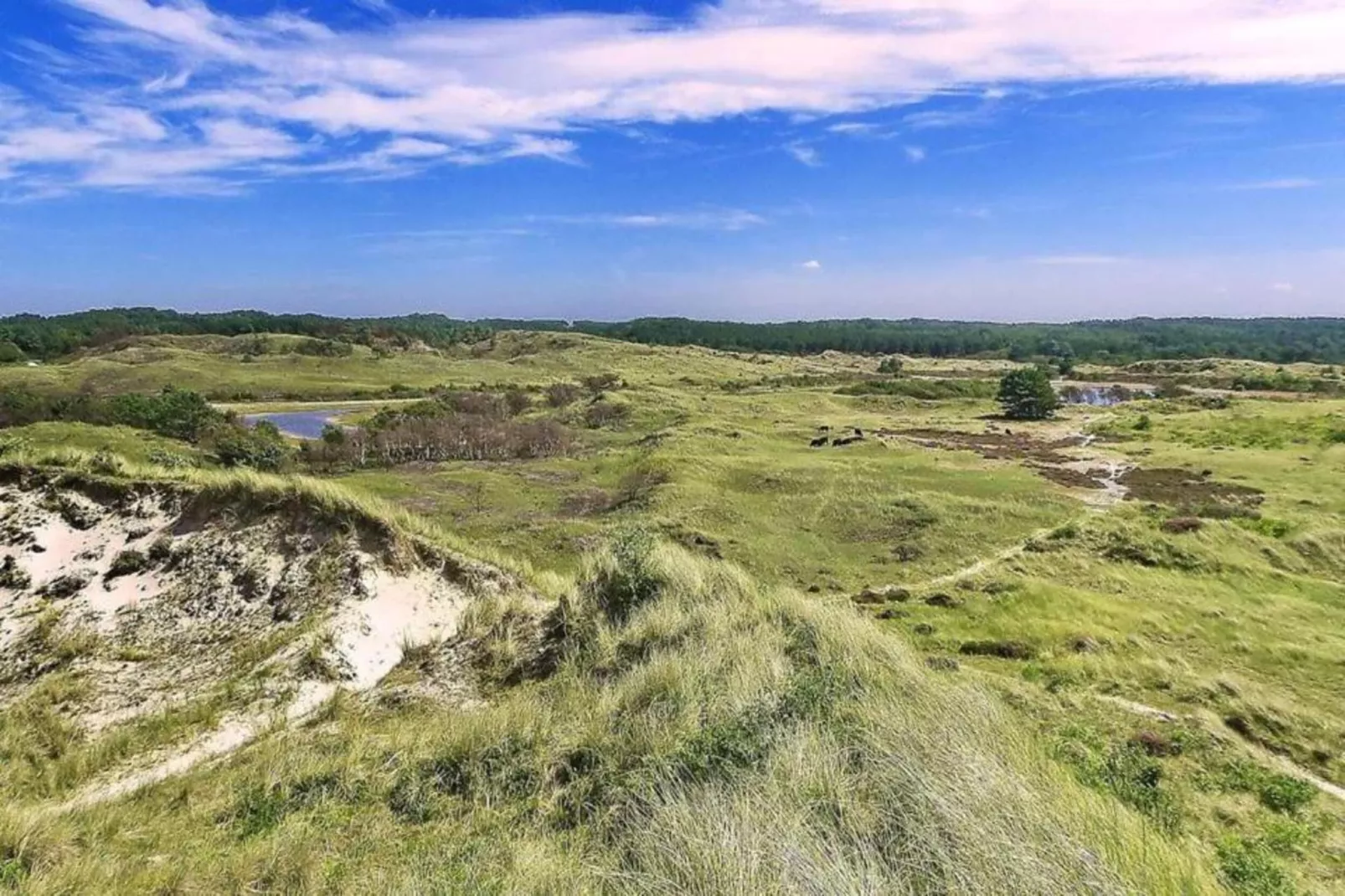 Boshof-Areas within 20km in summer