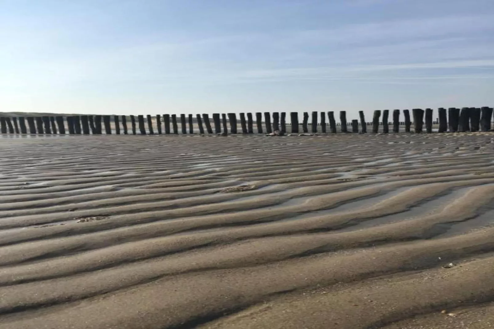 Noordzee Résidence Dishoek 13-Areas summer 5km