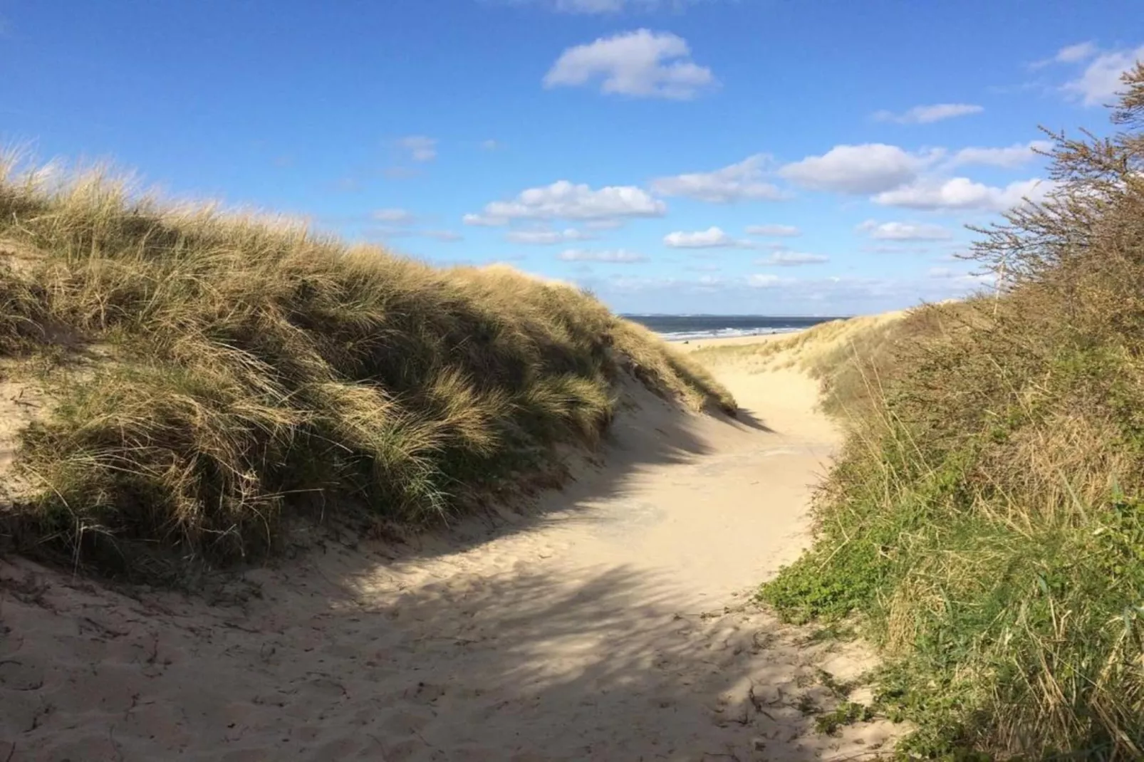 Vakantiepark Hof van Zeeland 2-Gebiete Sommer 20 km