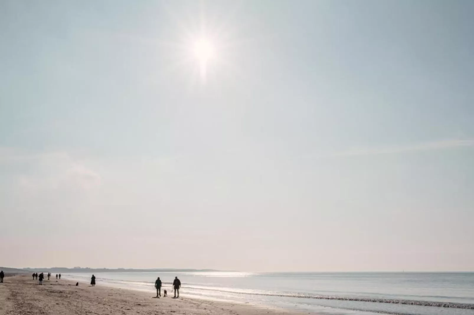 Noordzee Résidence De Banjaard 21 - Areas within 20km in summer