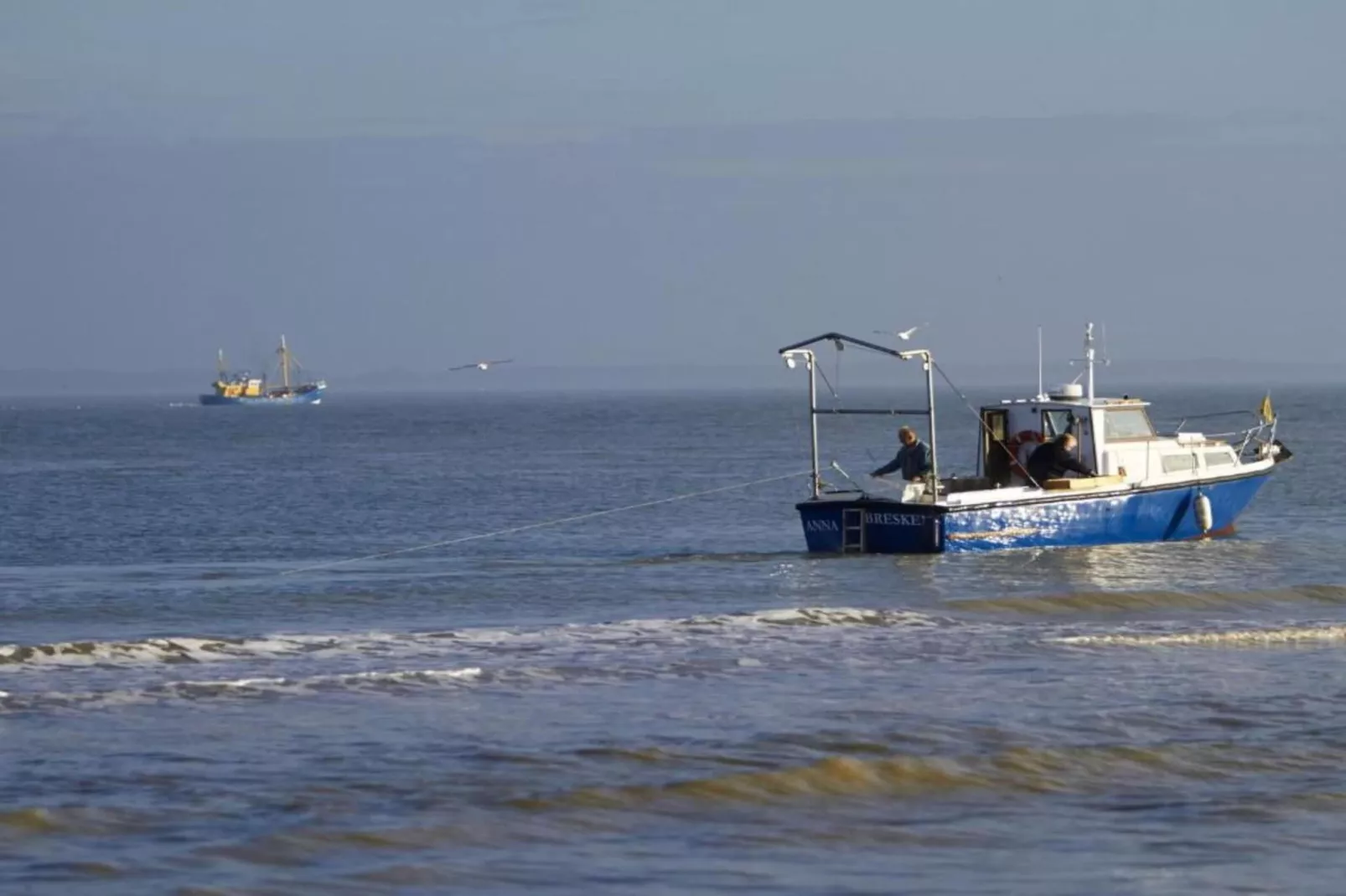 Beach Resort Nieuwvliet-Bad 14 - Areas within 20km in summer
