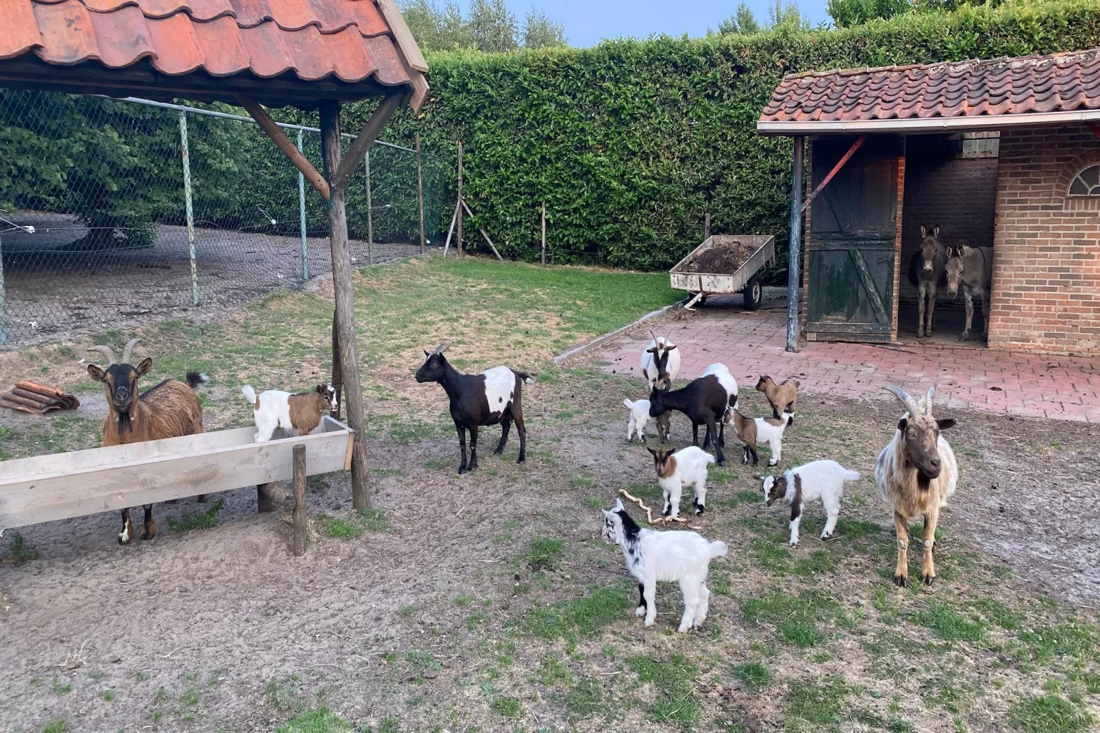 Pipowagen de Weideblick-Facilities