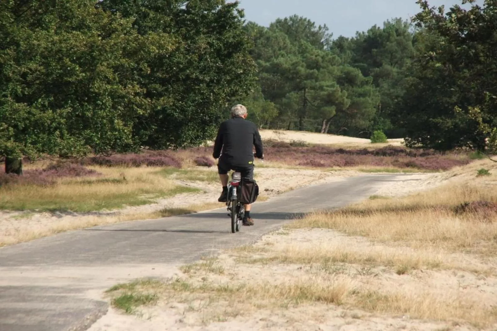 Recreatiepark Duinhoeve 11-Areas within 20km in summer