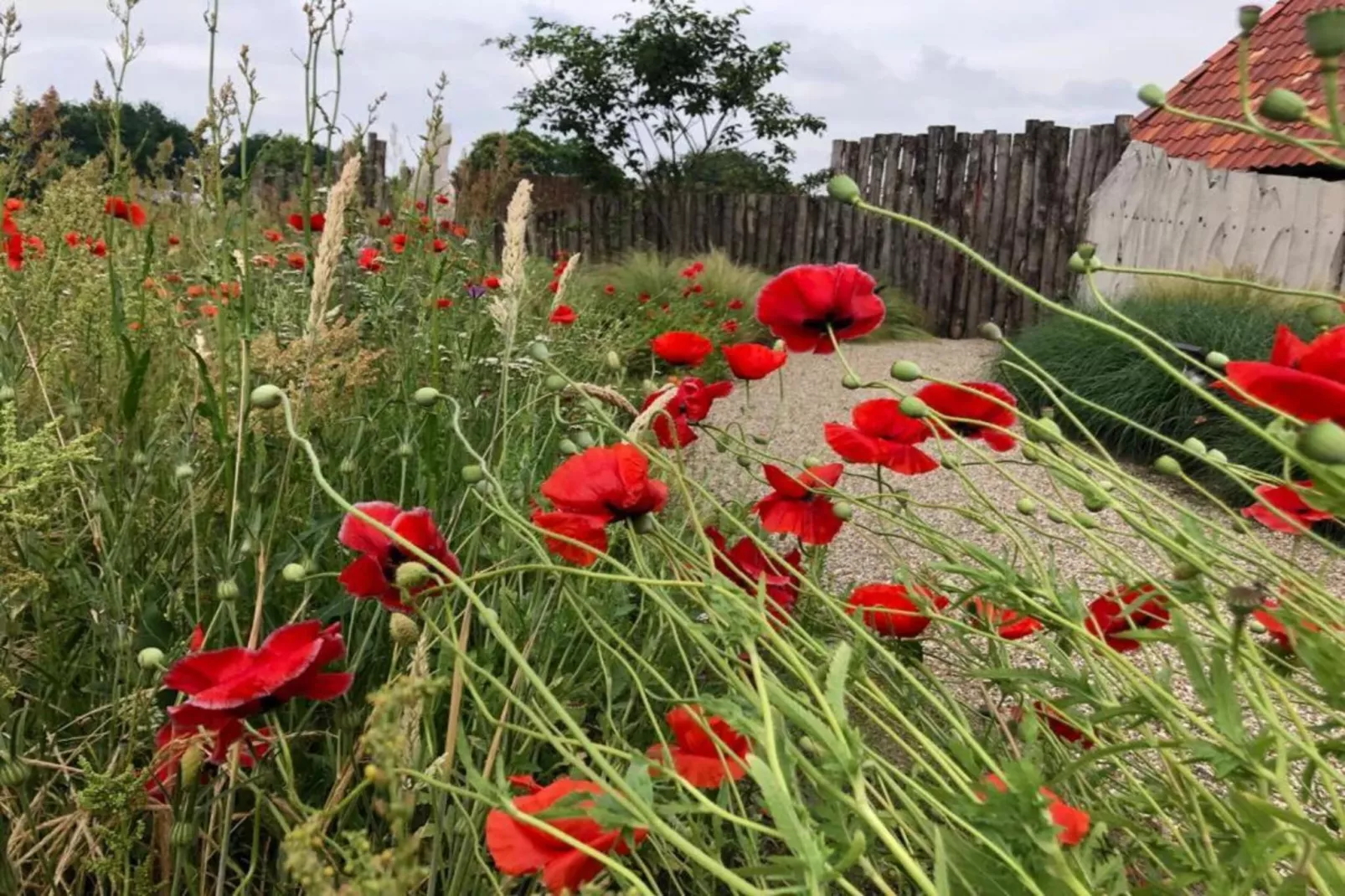 Vakantiepark Sandberghe 2-Gebiete Sommer 20 km