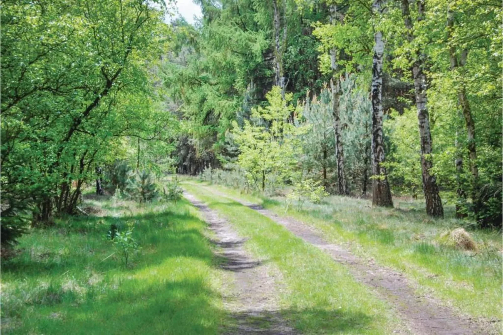 Dorpswoning Het Uitzicht-Areas within 20km in summer