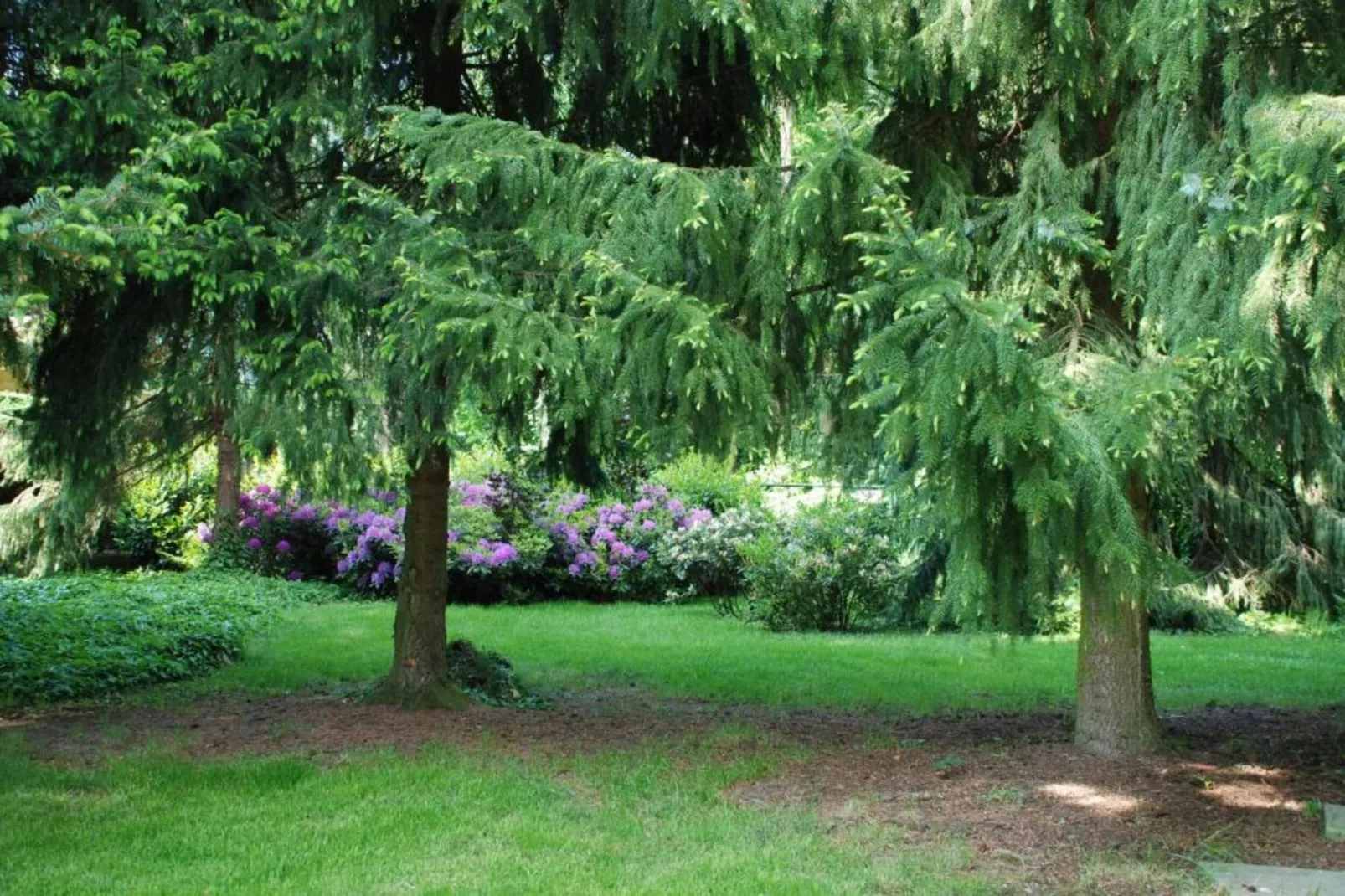 Vakantiepark Klein Vink 13-Gebiete Sommer 20 km