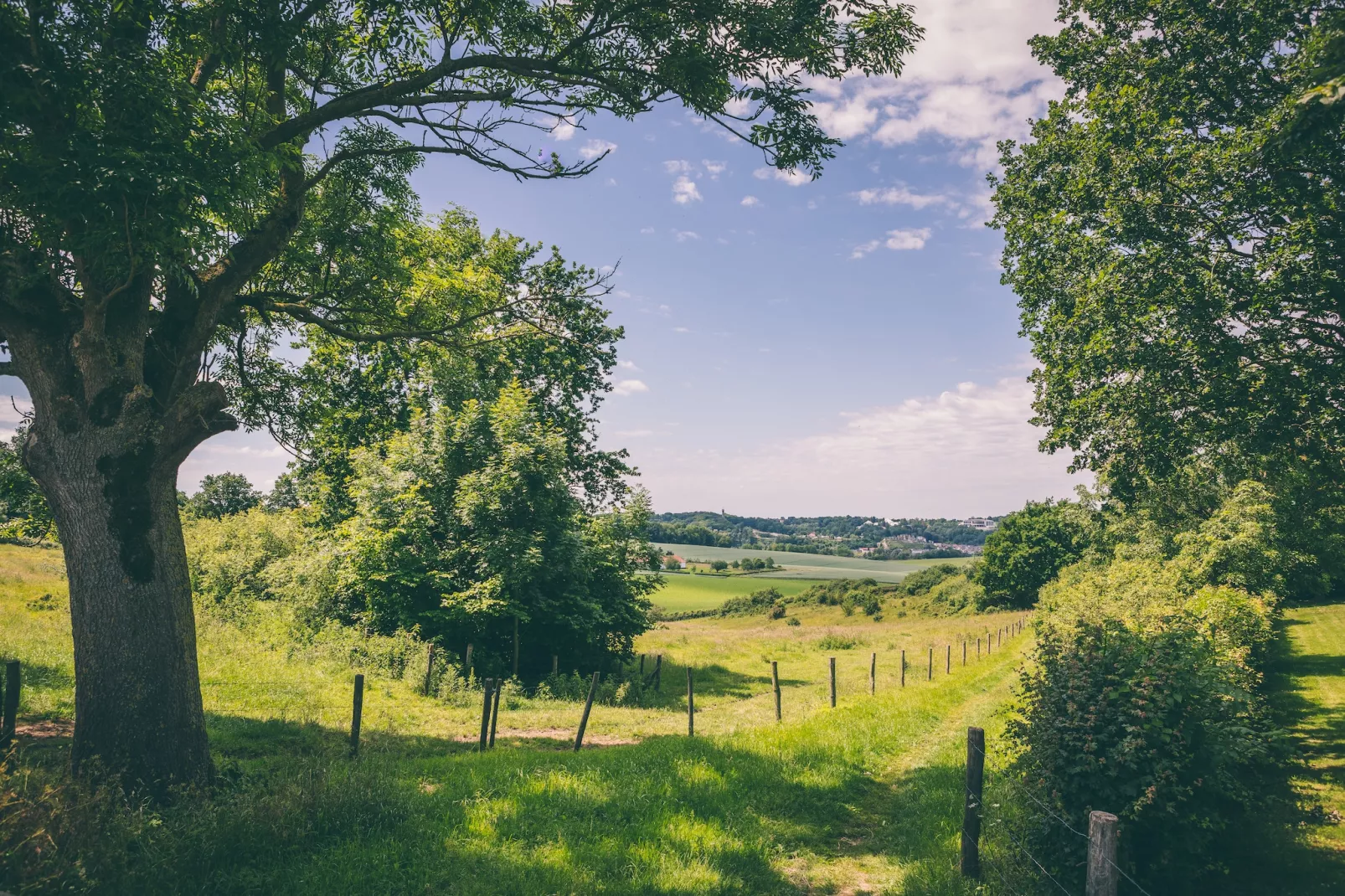 Bungalowpark Schin op Geul 3-Areas within 5km in summer