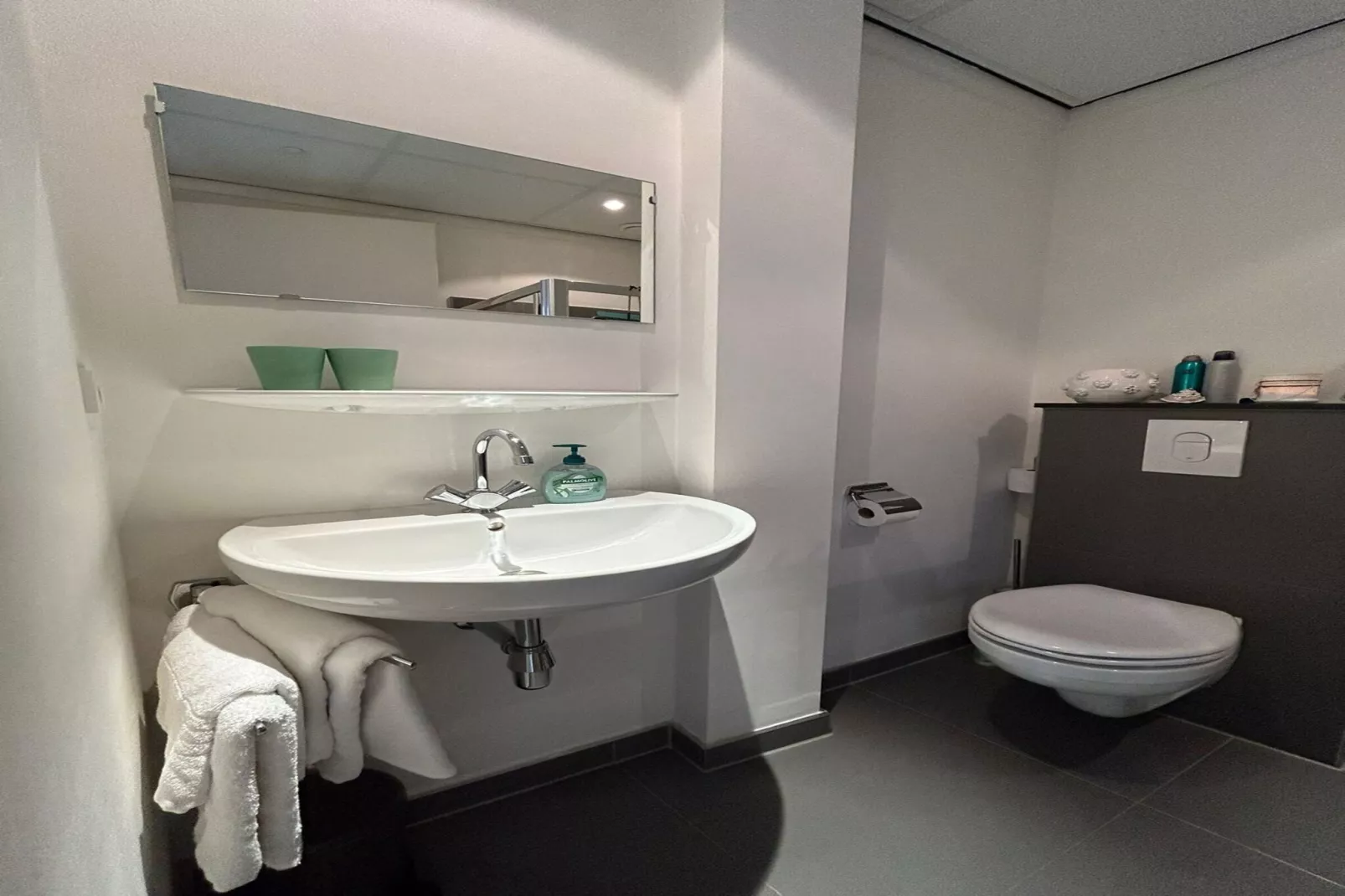 Hof van Craeck II-Salle de bain