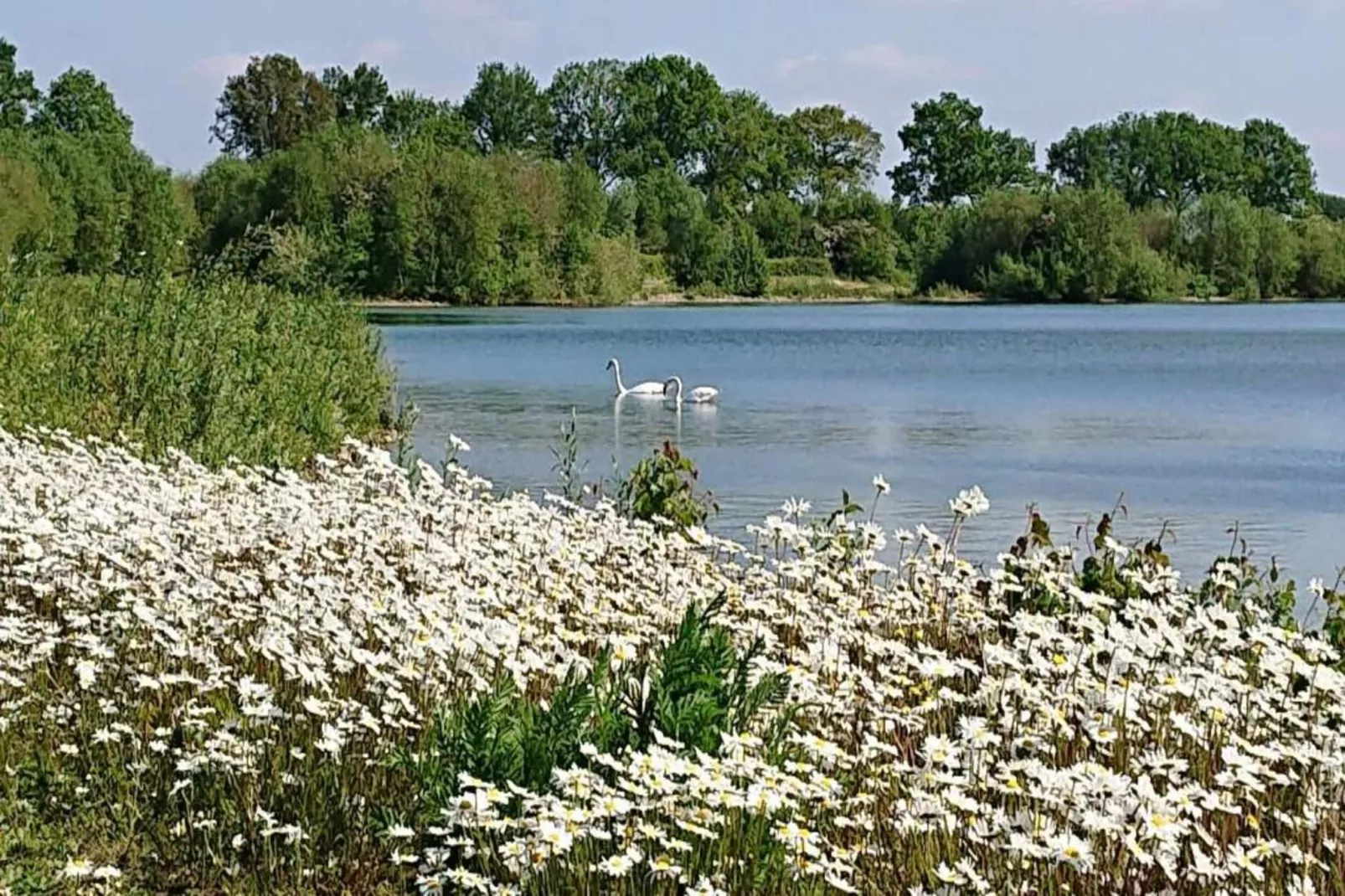 De Riethorst 1-Areas within 20km in summer