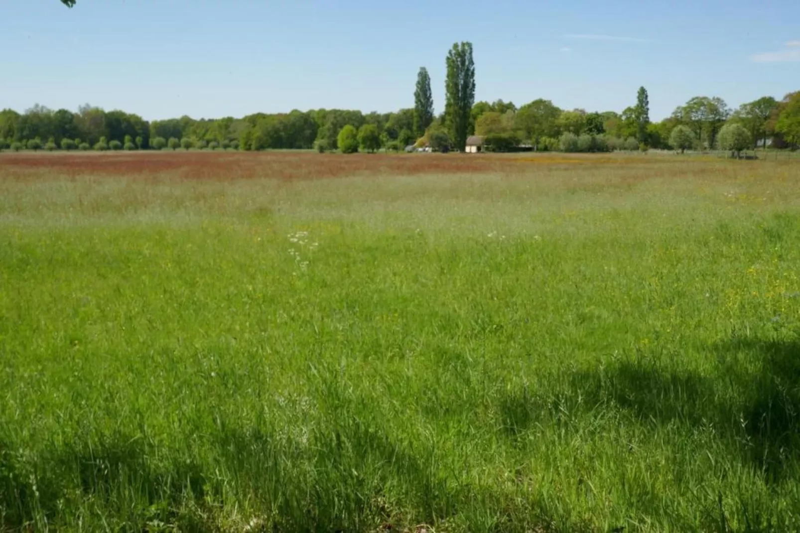 Recreatiebospark de Reehorst 1-Areas within 20km in summer