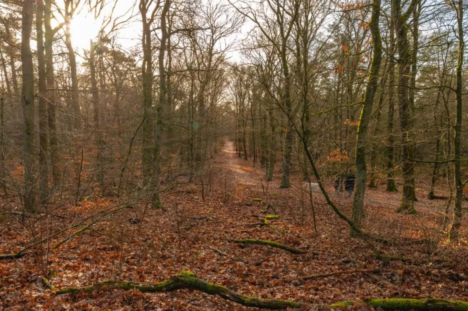 Bungalowpark Hoenderloo 2-Areas within 20km in summer