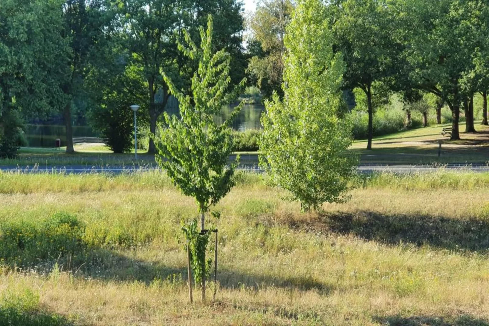 't Kokhuus-Areas within 20km in summer