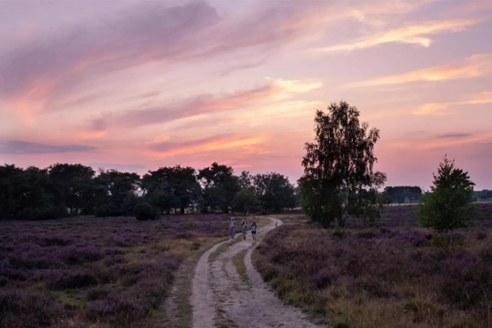 Buitenplaats Holten 8-Areas within 5km in summer