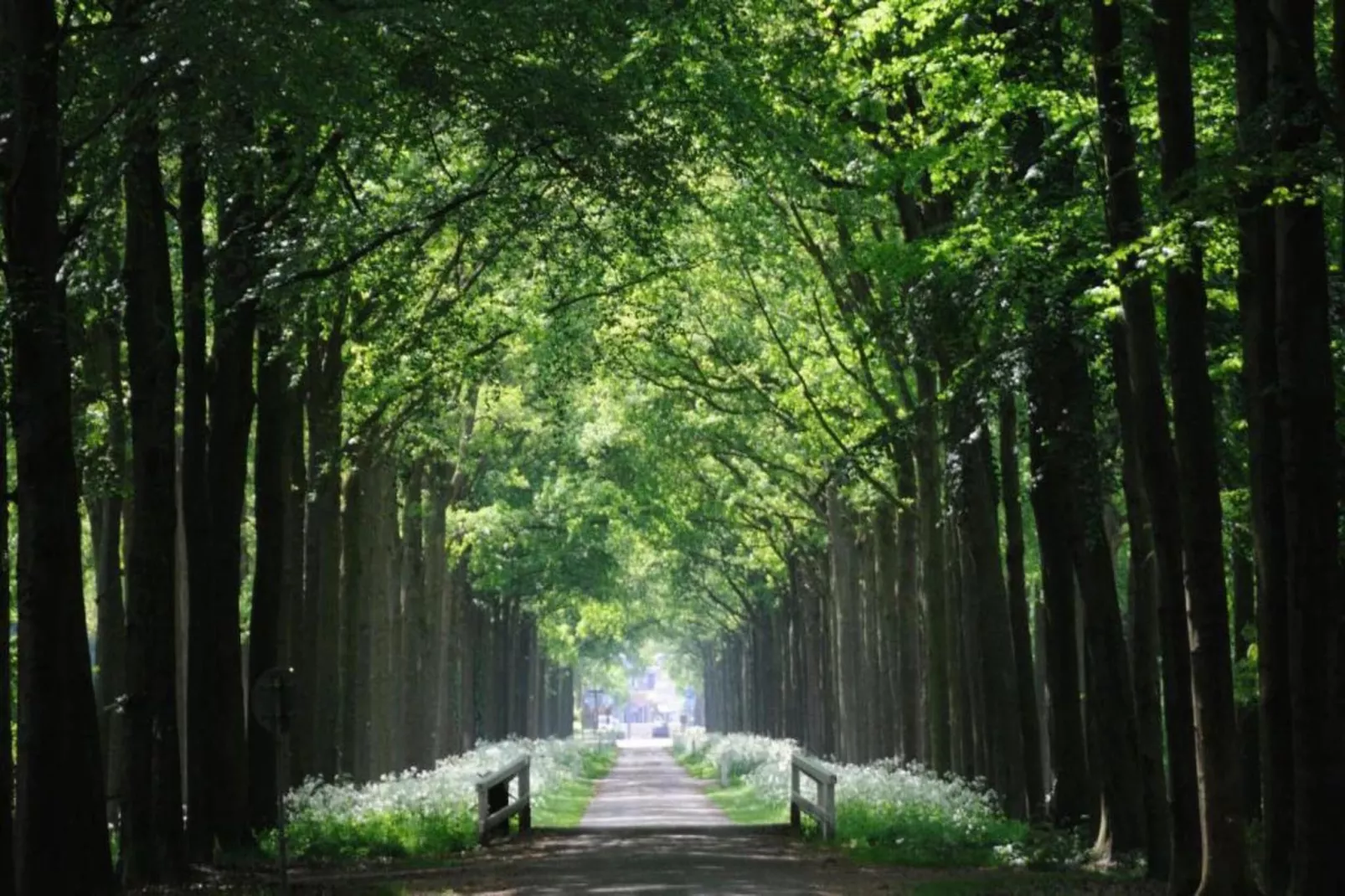 Vakantiepark Mölke 32-Areas within 20km in summer