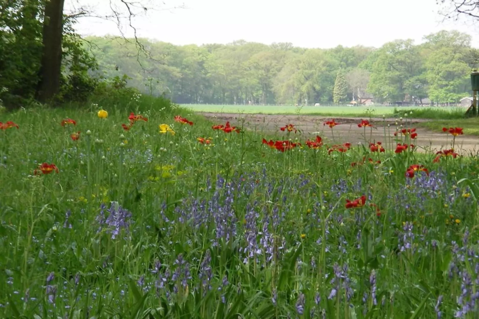 Vakantiecentrum 't Schuttenbelt 7-Gebiete Sommer 20 km