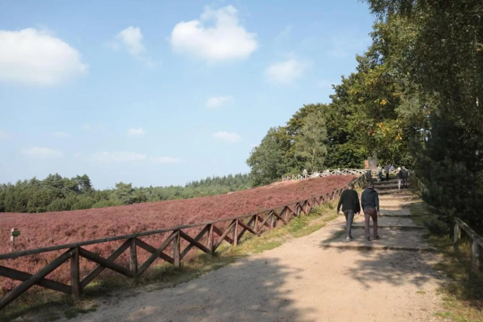 Buitenplaats Holten 17-Areas within 20km in summer