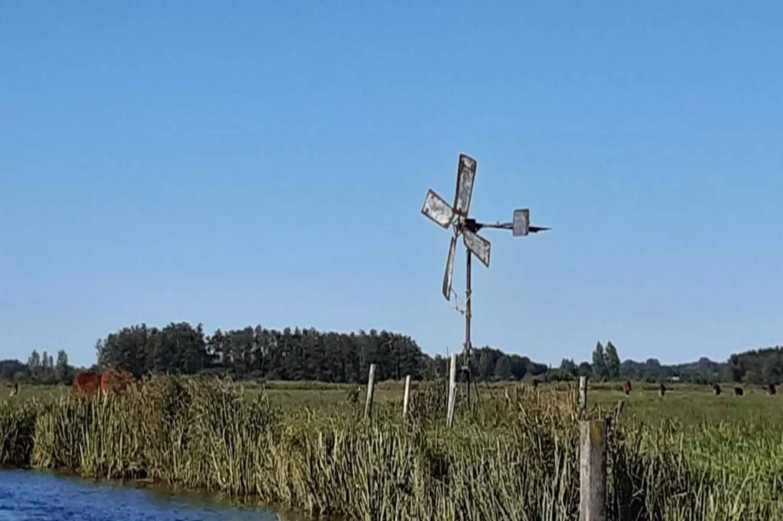 Waterpark Belterwiede 4-Zones d'été à 20 km
