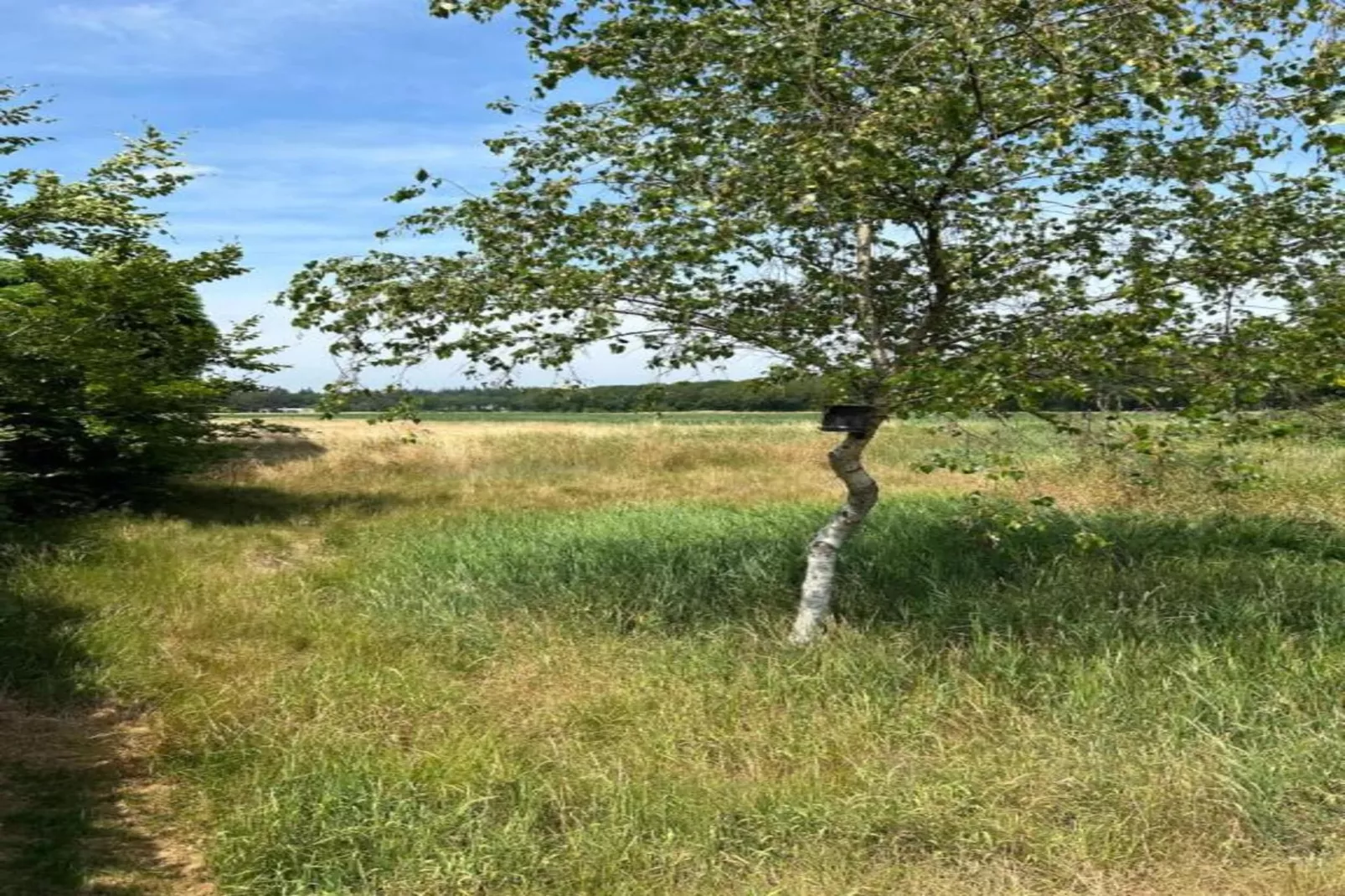 Residence de Eese 15-Zones été à 20 km