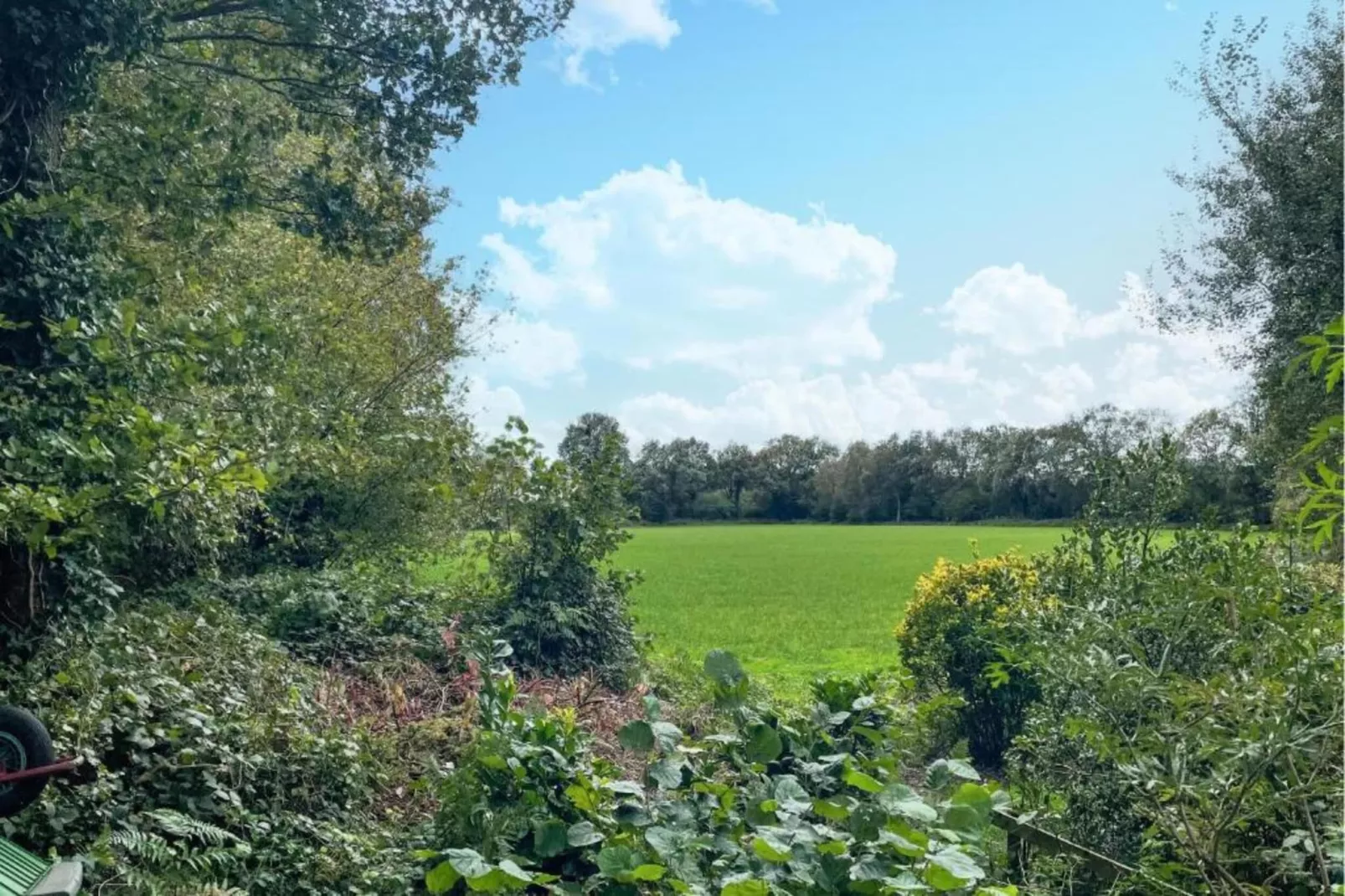 Villapark De Weerribben 3-Areas within 5km in summer