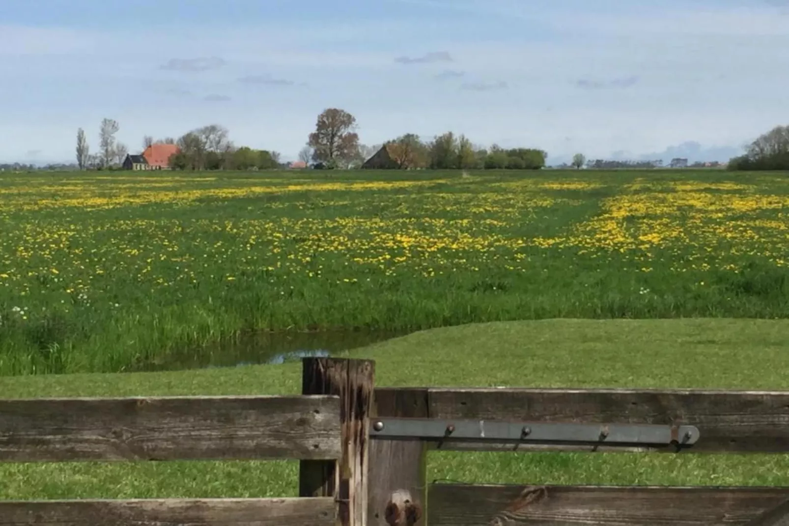 Pronkkeamer Skrins-Gebiete Sommer 5 km