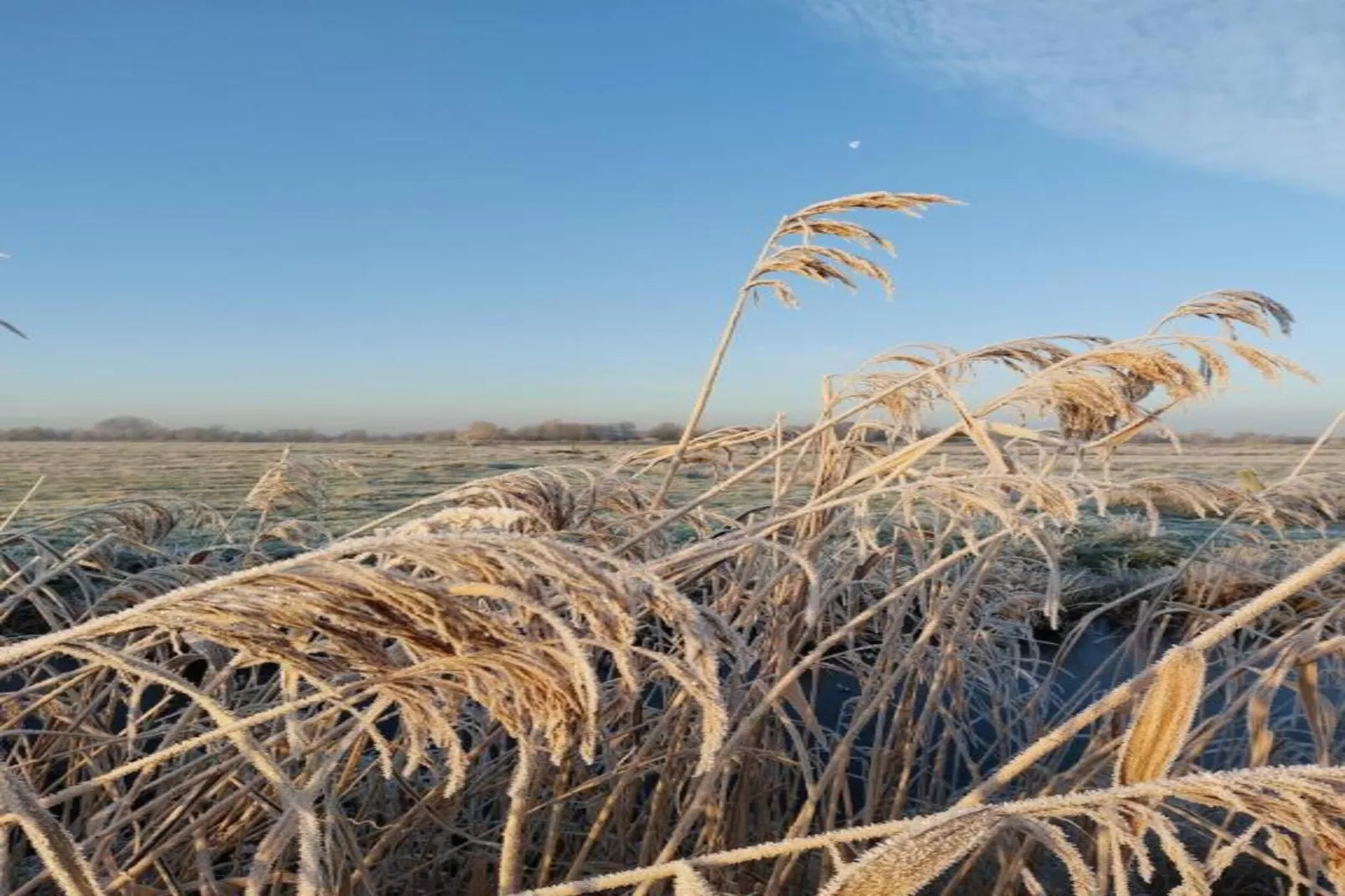 Chalet Klaske-Areas within 20km in summer