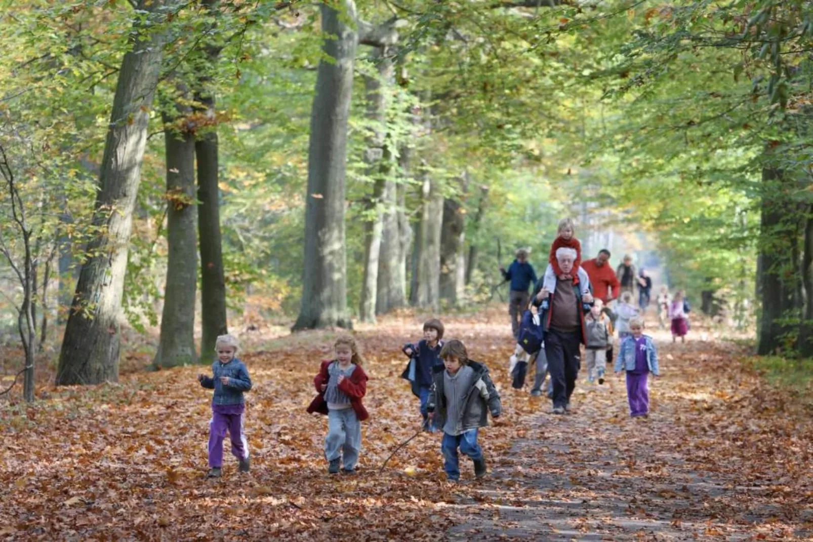 Bospark Lunsbergen 6-Areas within 20km in summer