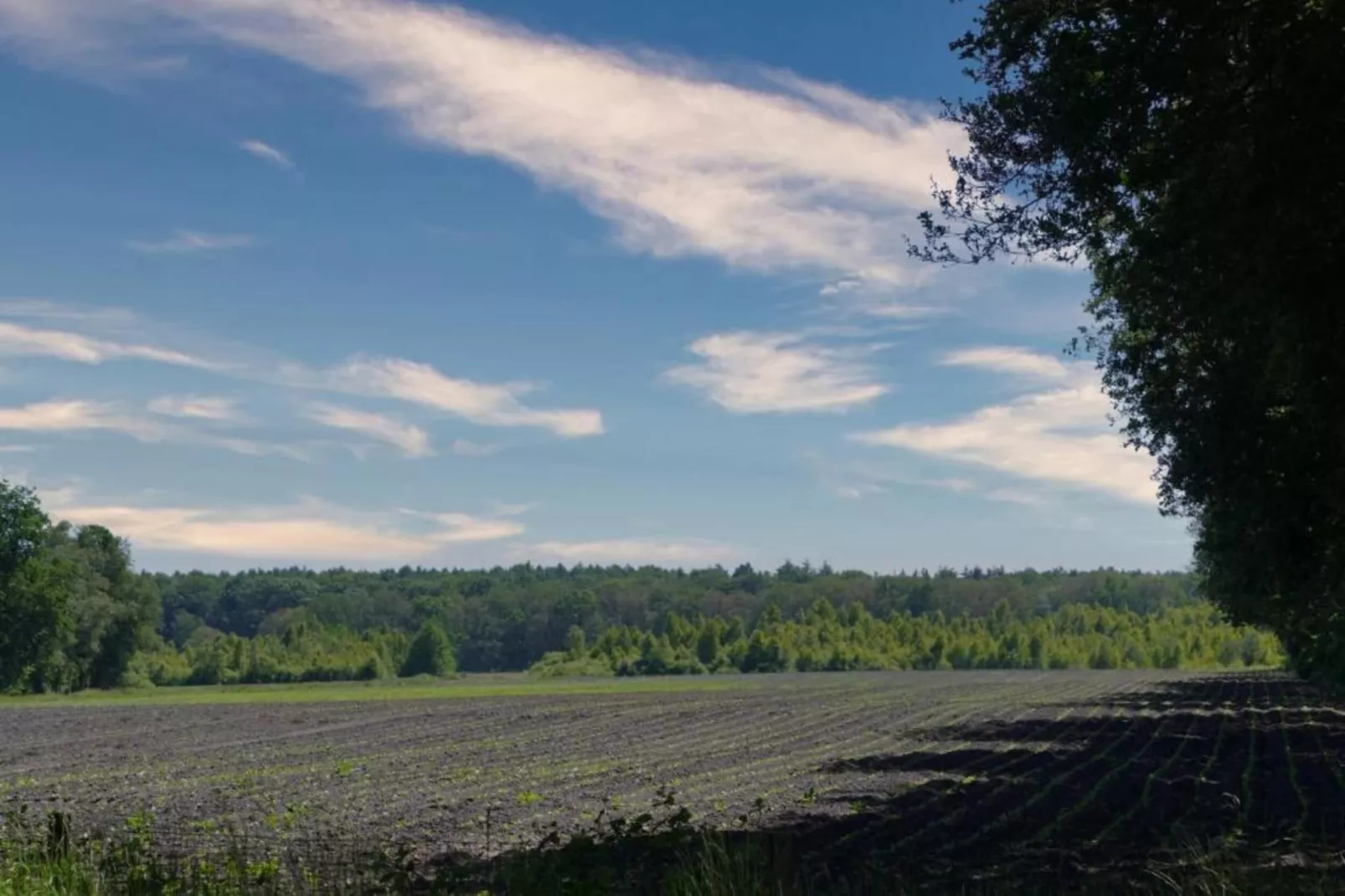 Bospark Lunsbergen 2-Areas within 20km in summer