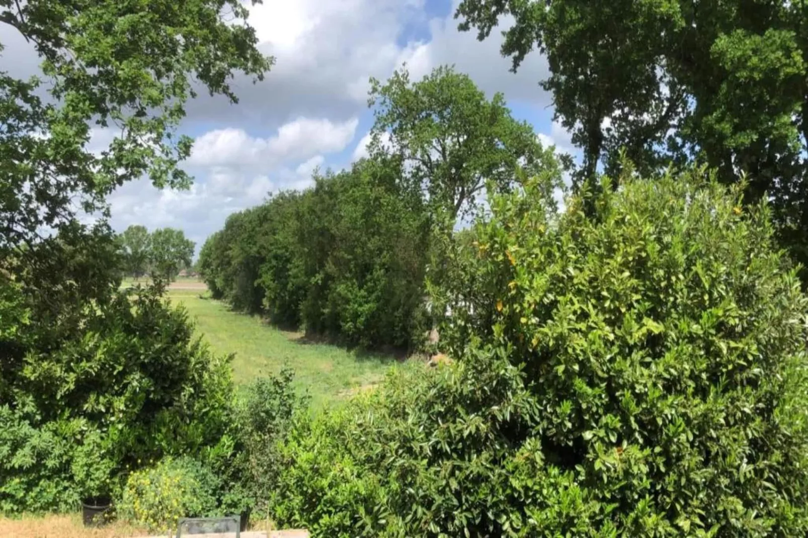 RCN Vakantiepark de Noordster 3-Areas within 20km in summer