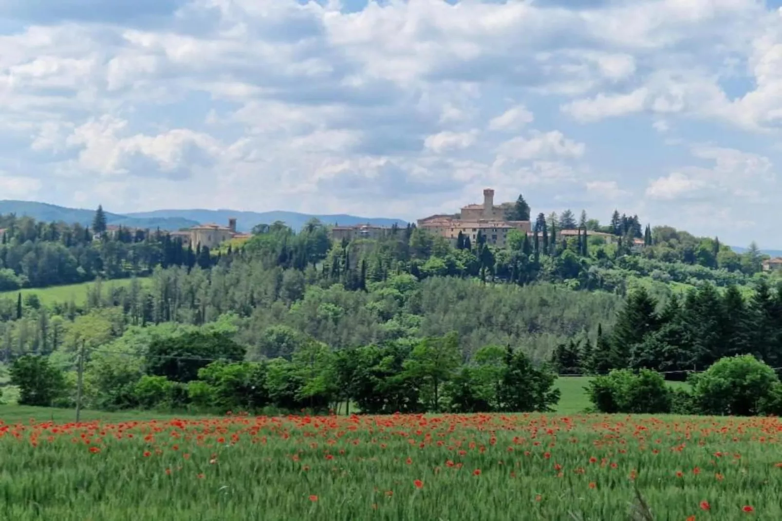 Rondine-Areas within 5km in summer