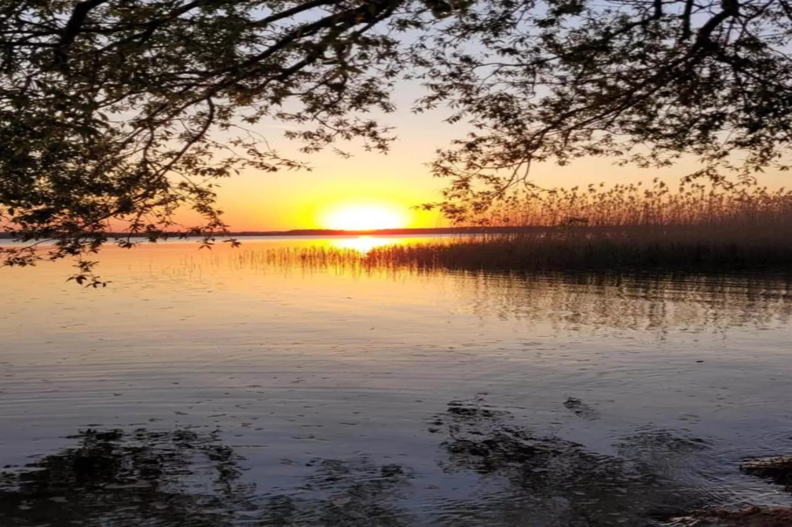 Holiday house by the lake-Areas within 20km in summer