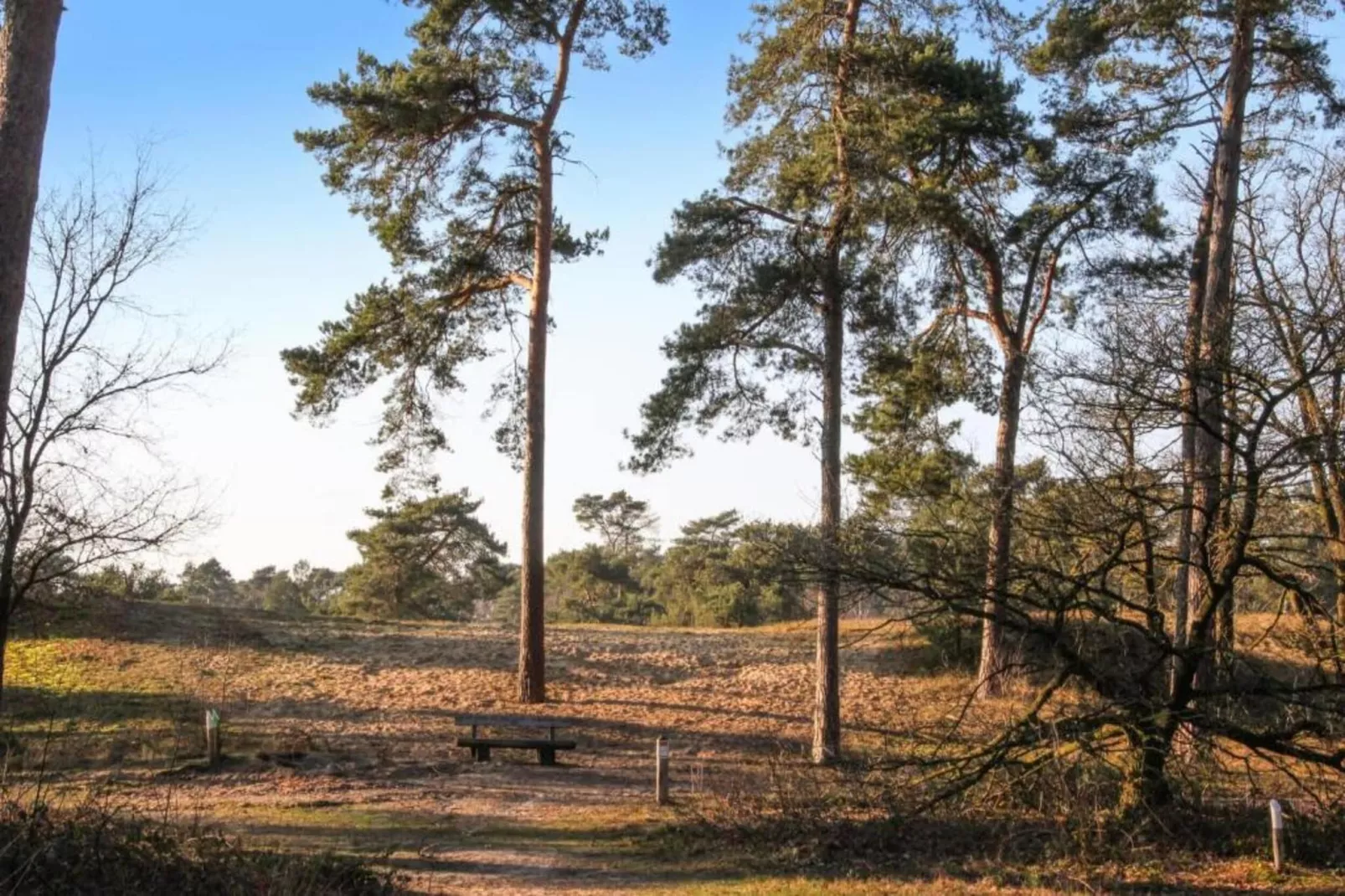 Vakantiepark Leukermeer 1-Areas summer 20km