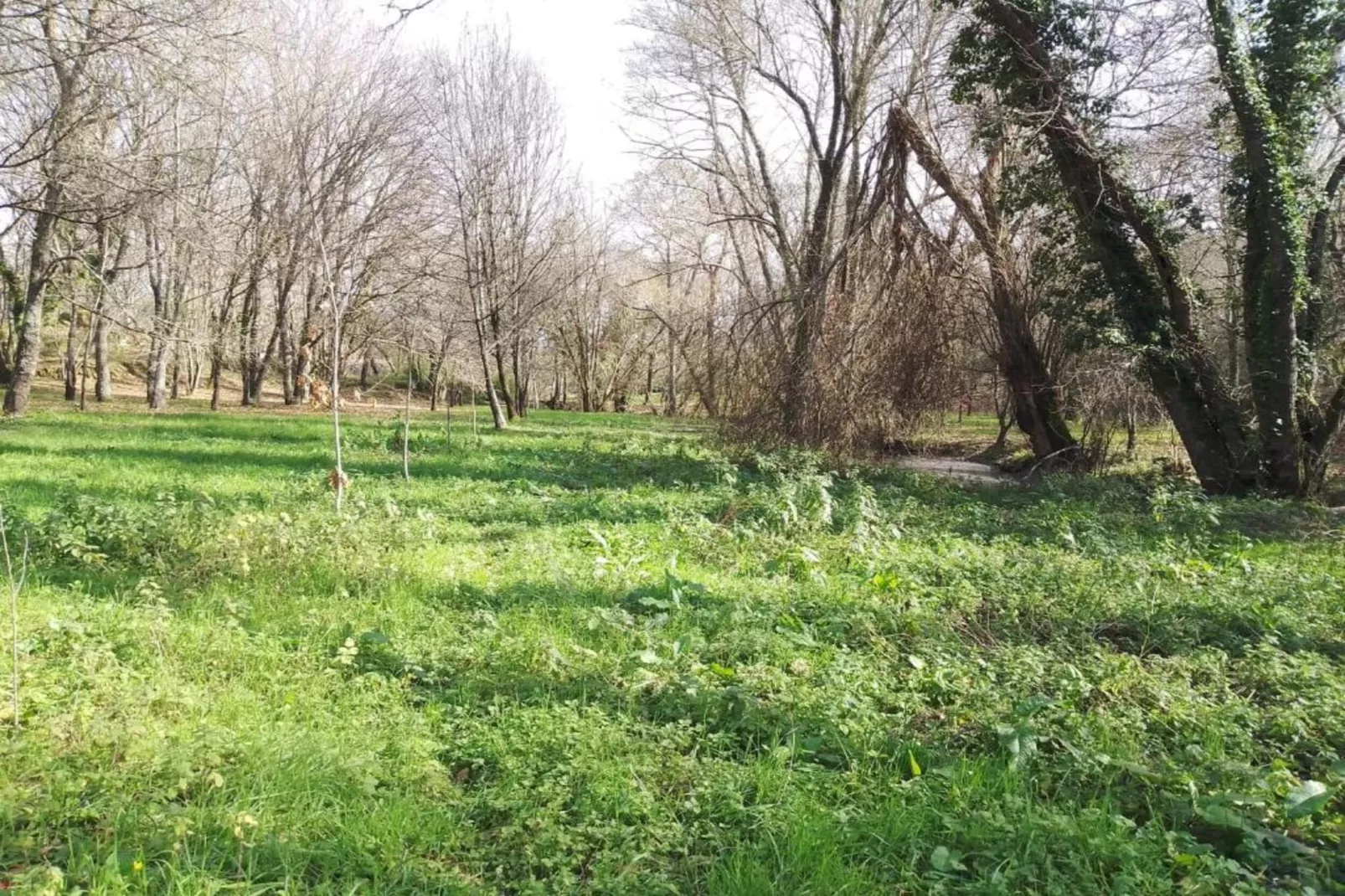 Casa Retiro-Areas within 20km in summer