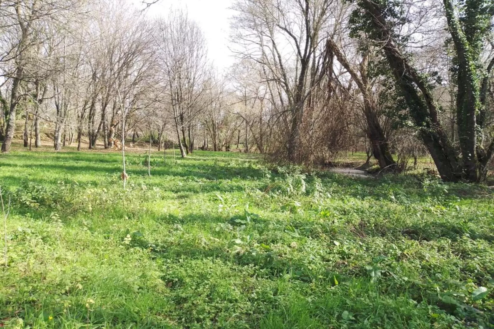 Casa Mimosa-Areas within 20km in summer
