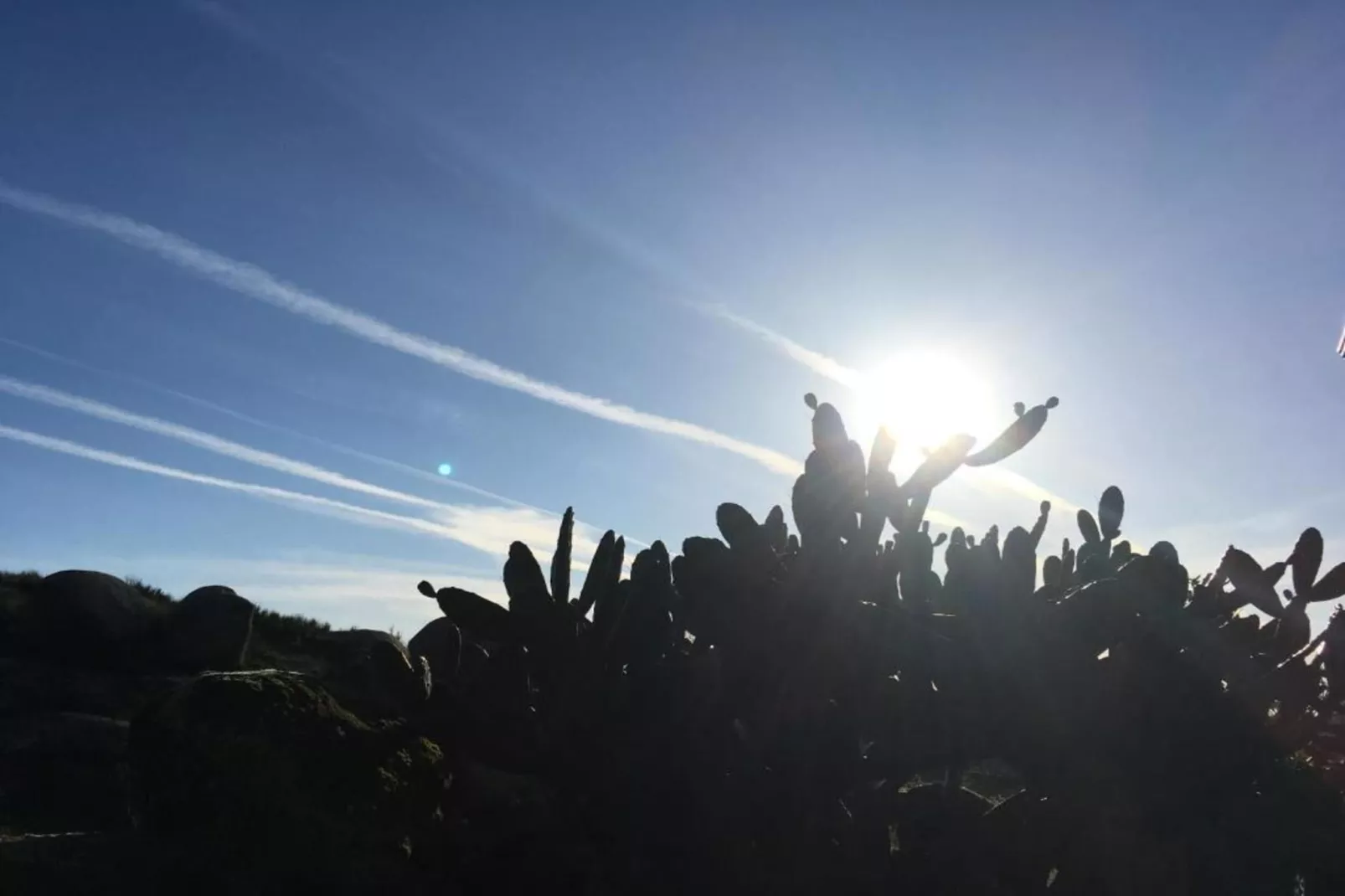 Casa Oliveirinha-Areas within 20km in summer