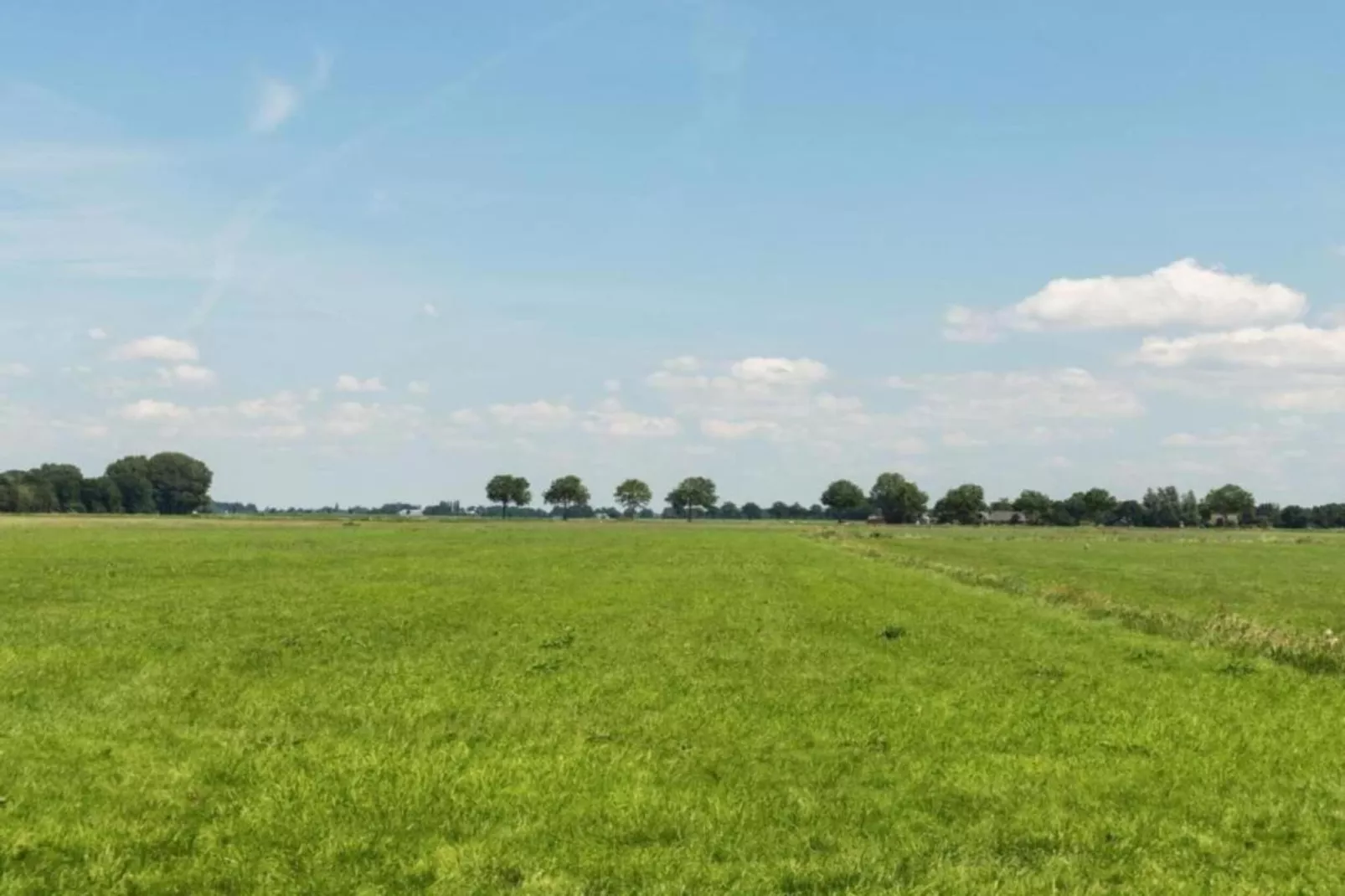 Hulshorsterhout-Areas within 20km in summer