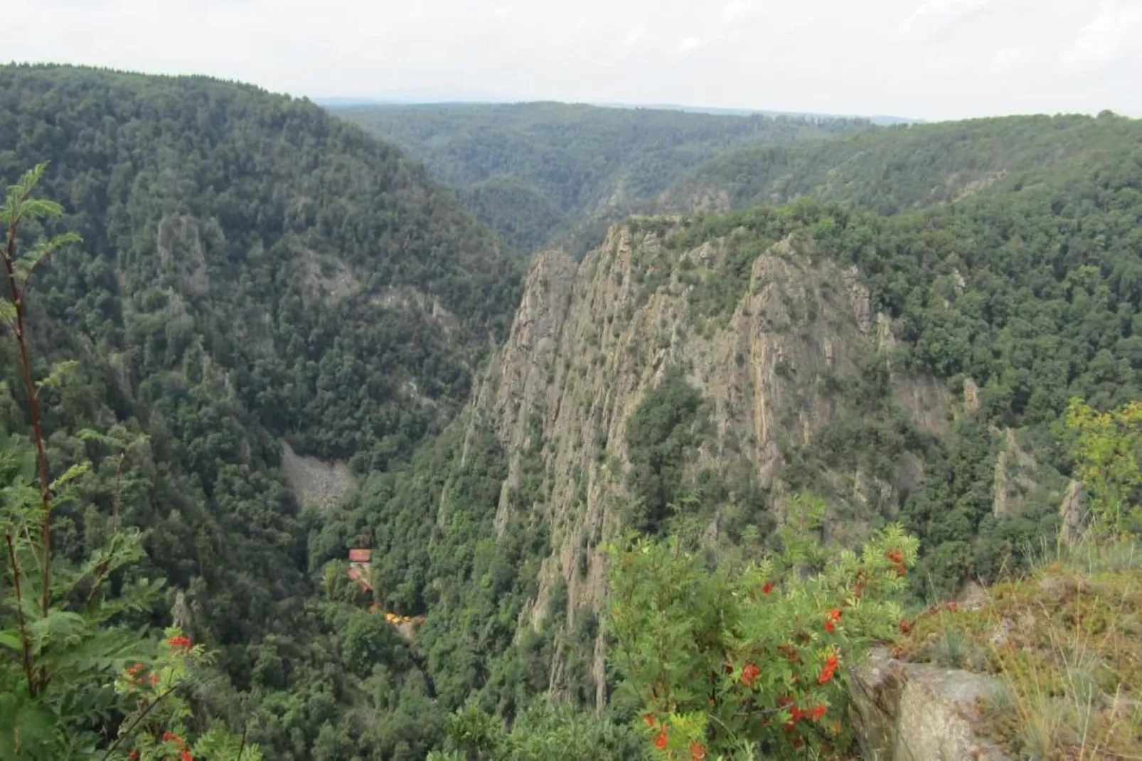 Thale-Zones été à 20 km