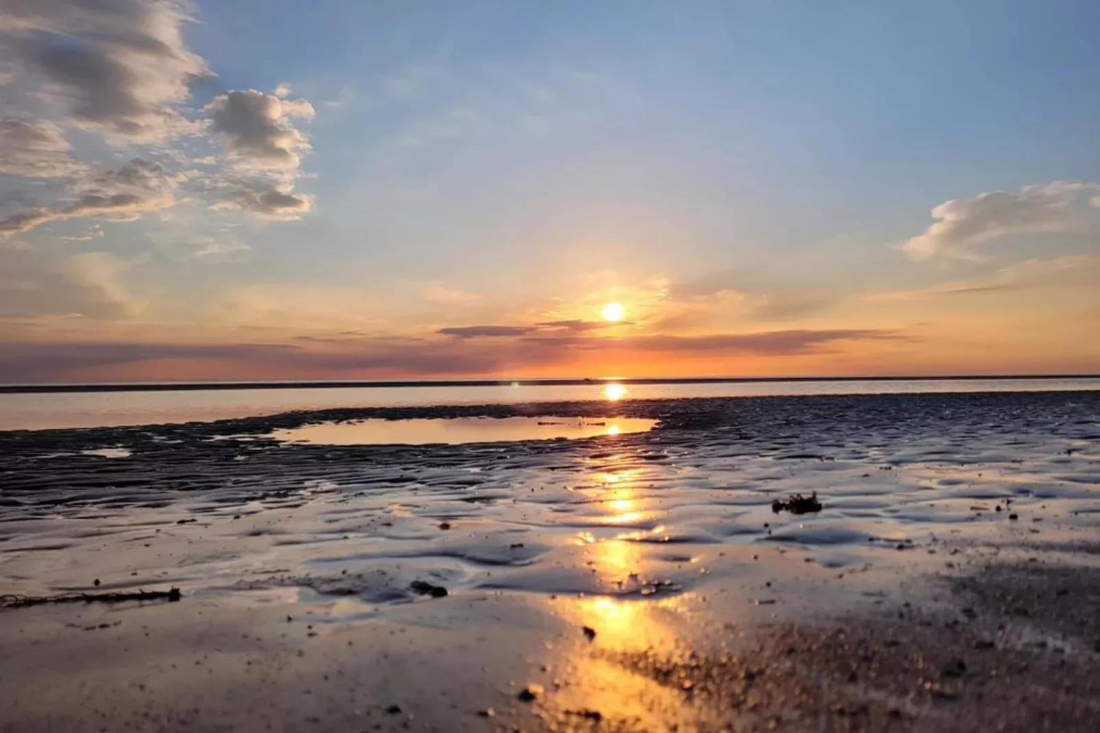 Strandperle-Areas within 5km in summer