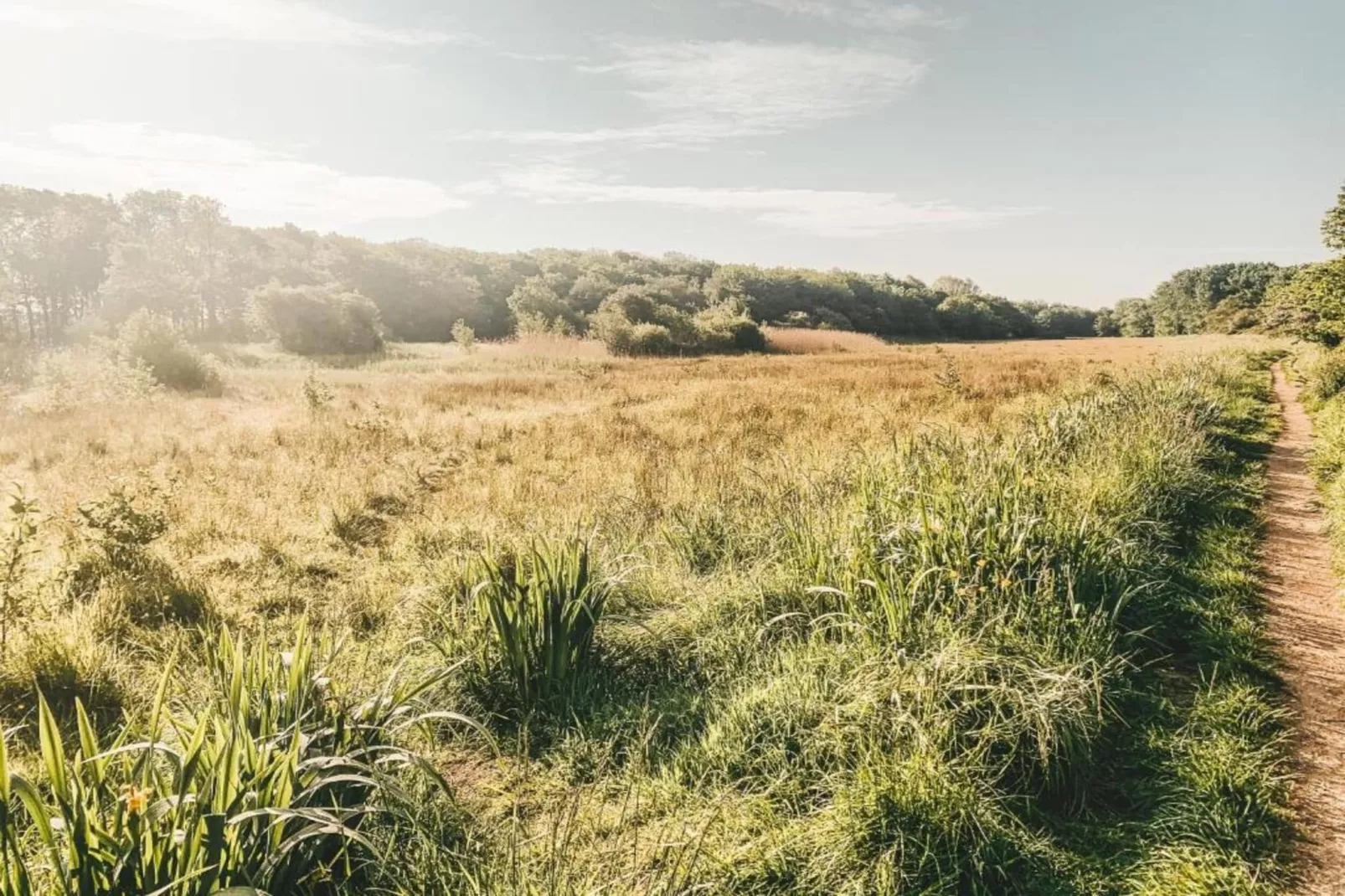 Vakantiepark Duinzicht 13-Areas within 5km in summer