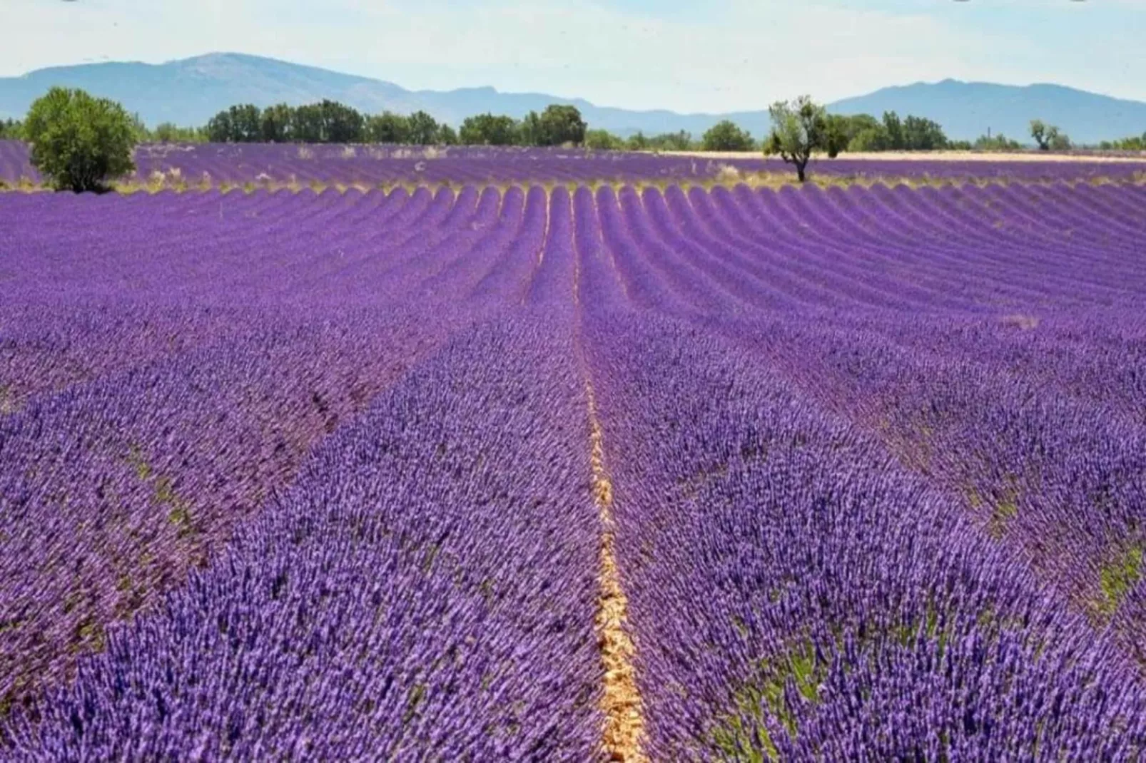 	 Résidence La Licorne de Haute-Provence 5-Gebiete Sommer 5 km