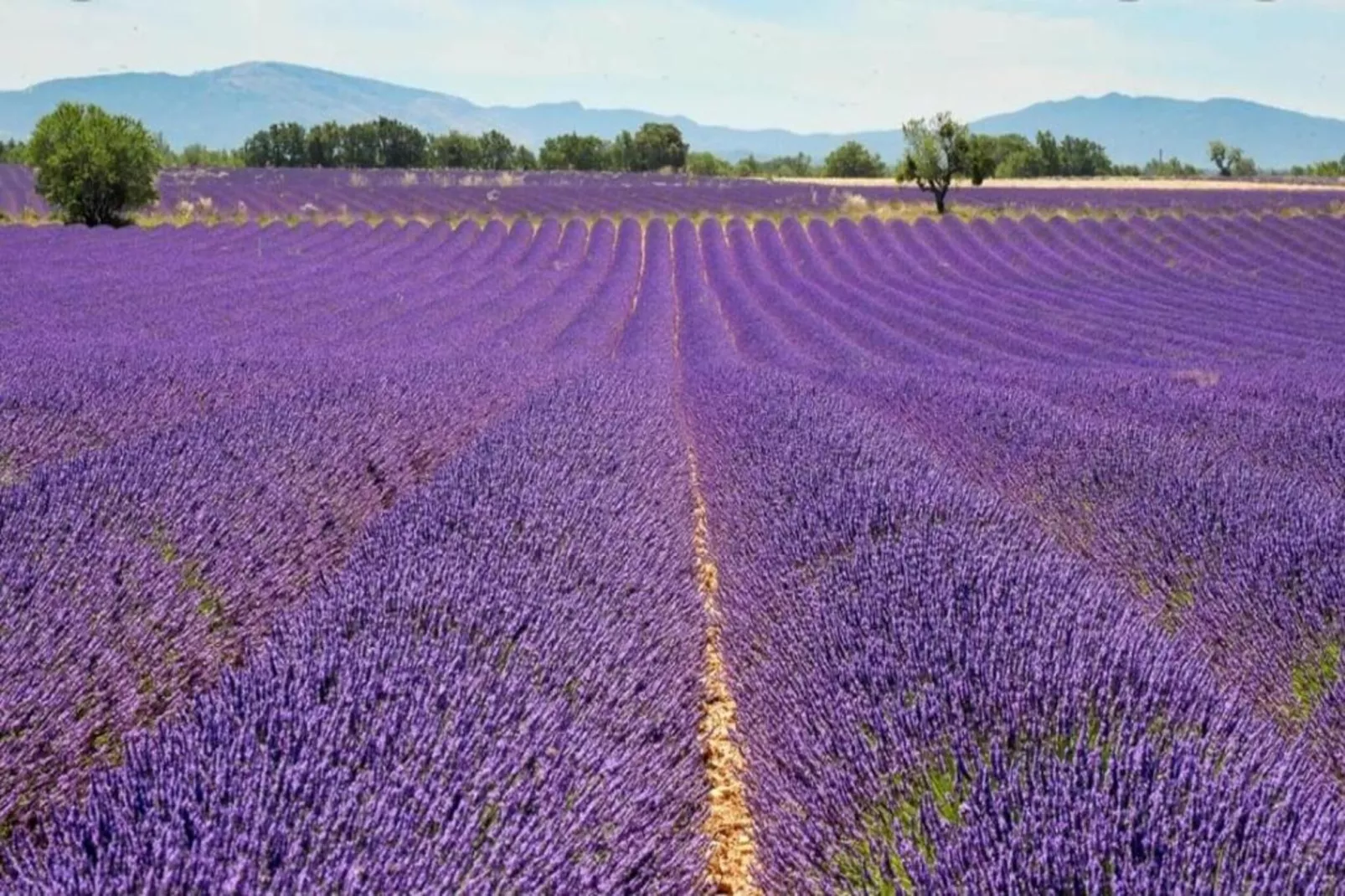 	 Résidence La Licorne de Haute-Provence 3-Gebiete Sommer 5 km
