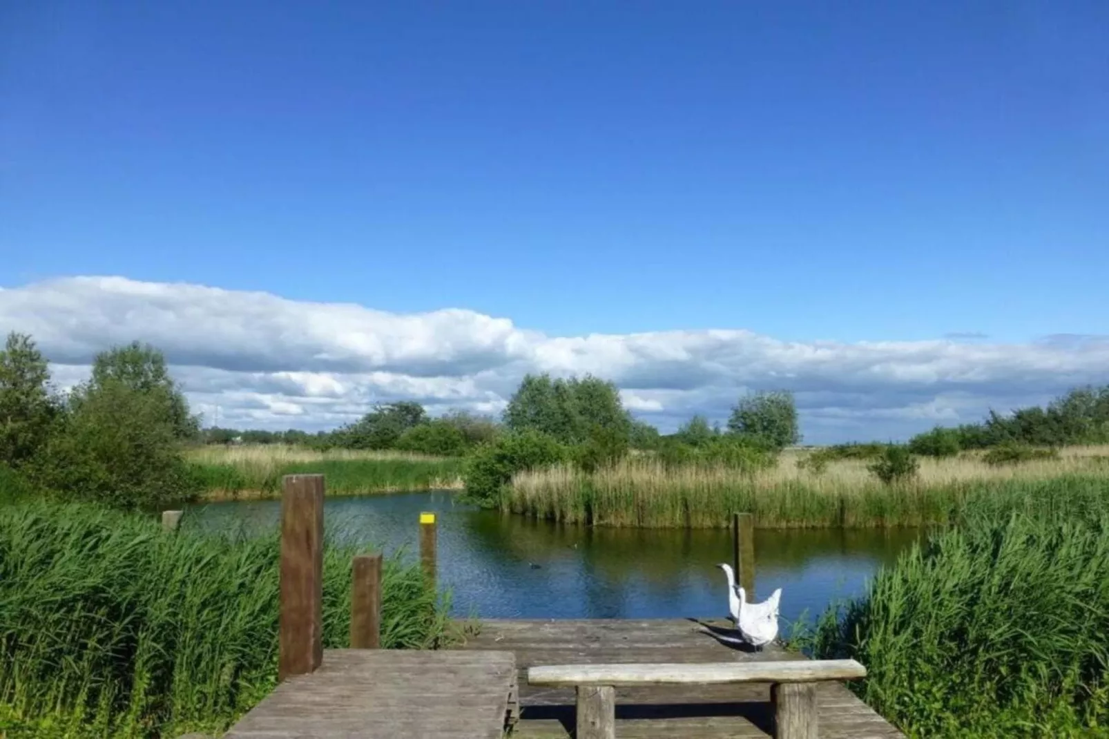 Beach Resort Makkum 26-Gebiete Sommer 5 km