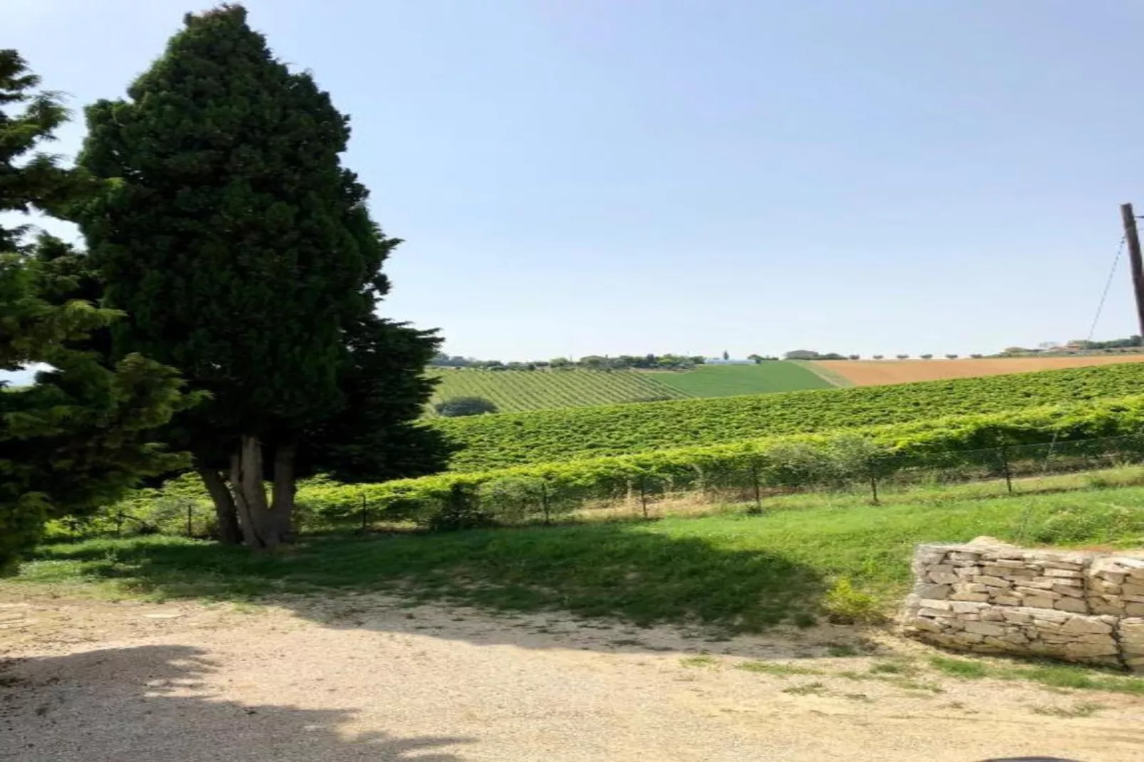 Ortica Studio-Areas within 5km in summer