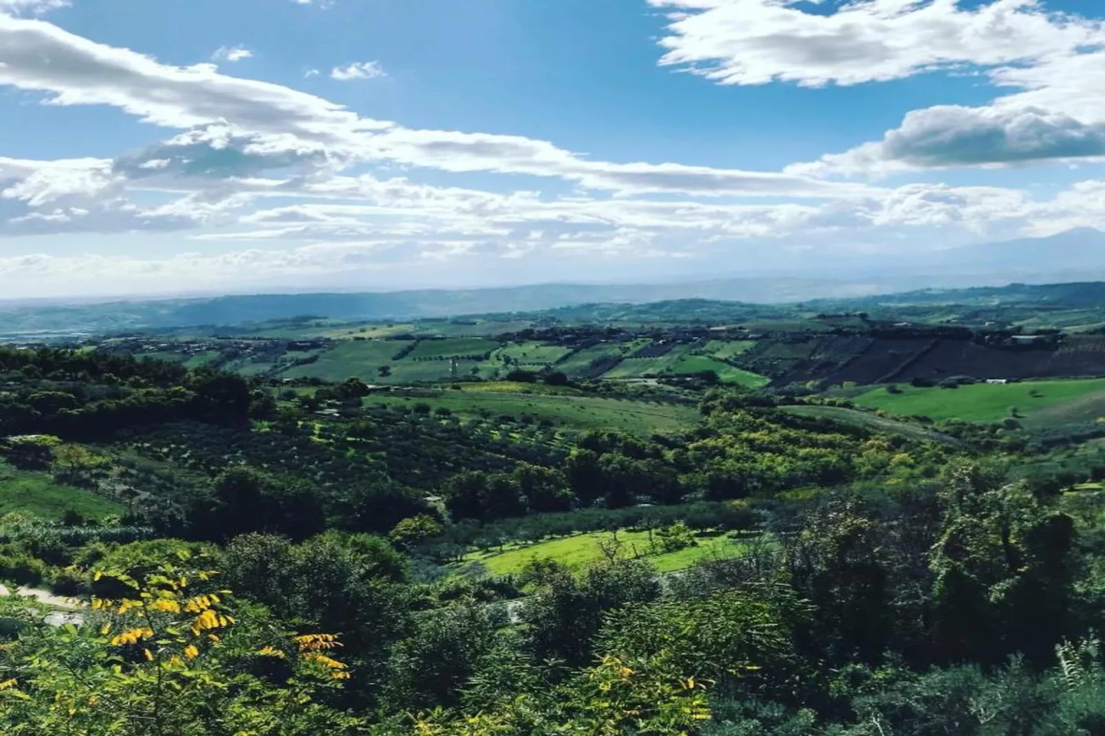 Lavanda-Zones été à 5 km